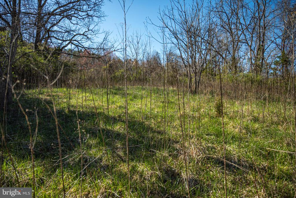 0 COX MILL RD, GORDONSVILLE, Virginia 22942, ,Farm,0 COX MILL RD,VAOR2013724 MLS # VAOR2013724