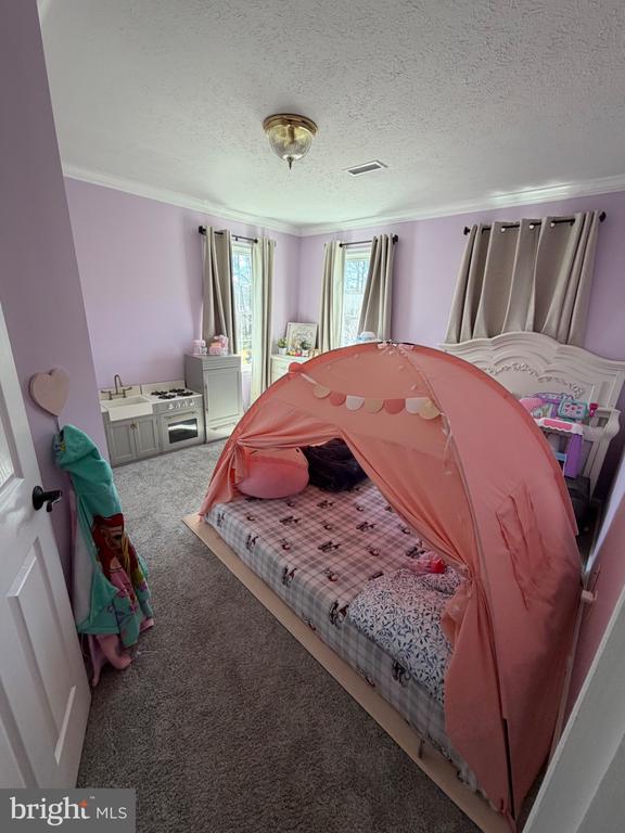 11207 SPRING MEADOW BLVD, FREDERICKSBURG, Virginia 22407, ,Residential,11207 SPRING MEADOW BLVD,VASP2040526 MLS # VASP2040526