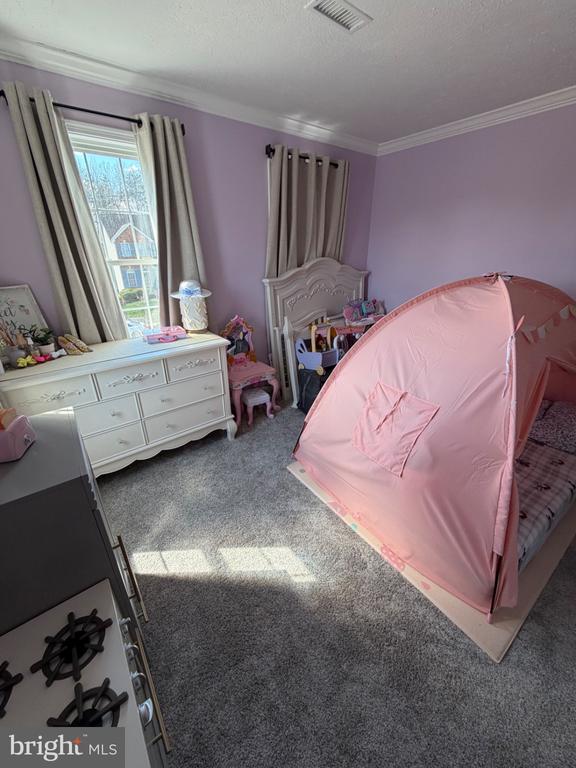 11207 SPRING MEADOW BLVD, FREDERICKSBURG, Virginia 22407, ,Residential,11207 SPRING MEADOW BLVD,VASP2040526 MLS # VASP2040526