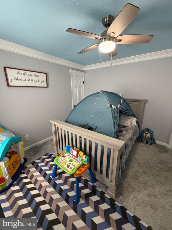 11207 SPRING MEADOW BLVD, FREDERICKSBURG, Virginia 22407, ,Residential,11207 SPRING MEADOW BLVD,VASP2040526 MLS # VASP2040526