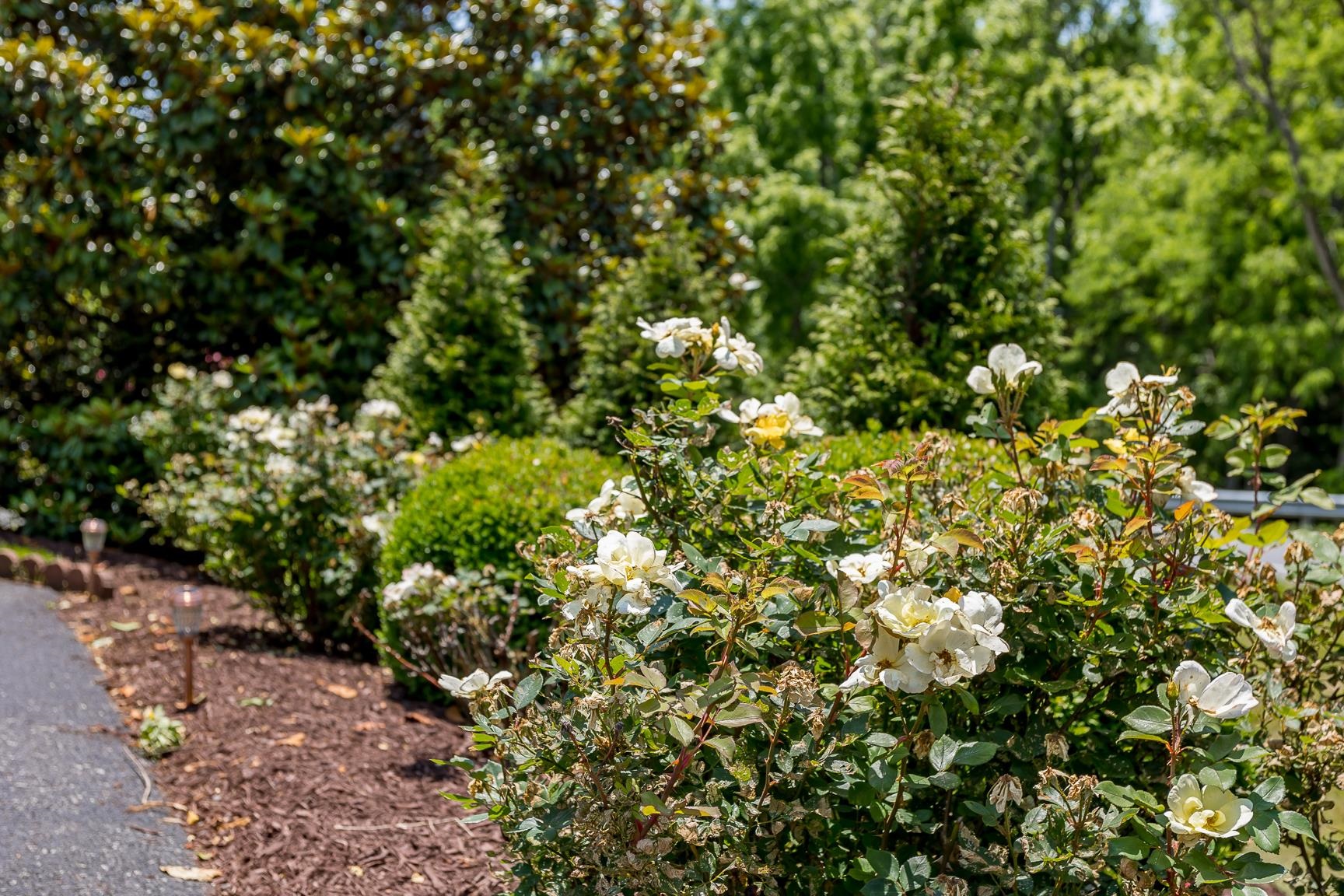 4003 PIRKEY LN, ROCKINGHAM, Virginia 22801, 3 Bedrooms Bedrooms, ,3 BathroomsBathrooms,Residential,4003 PIRKEY LN,675152 MLS # 675152