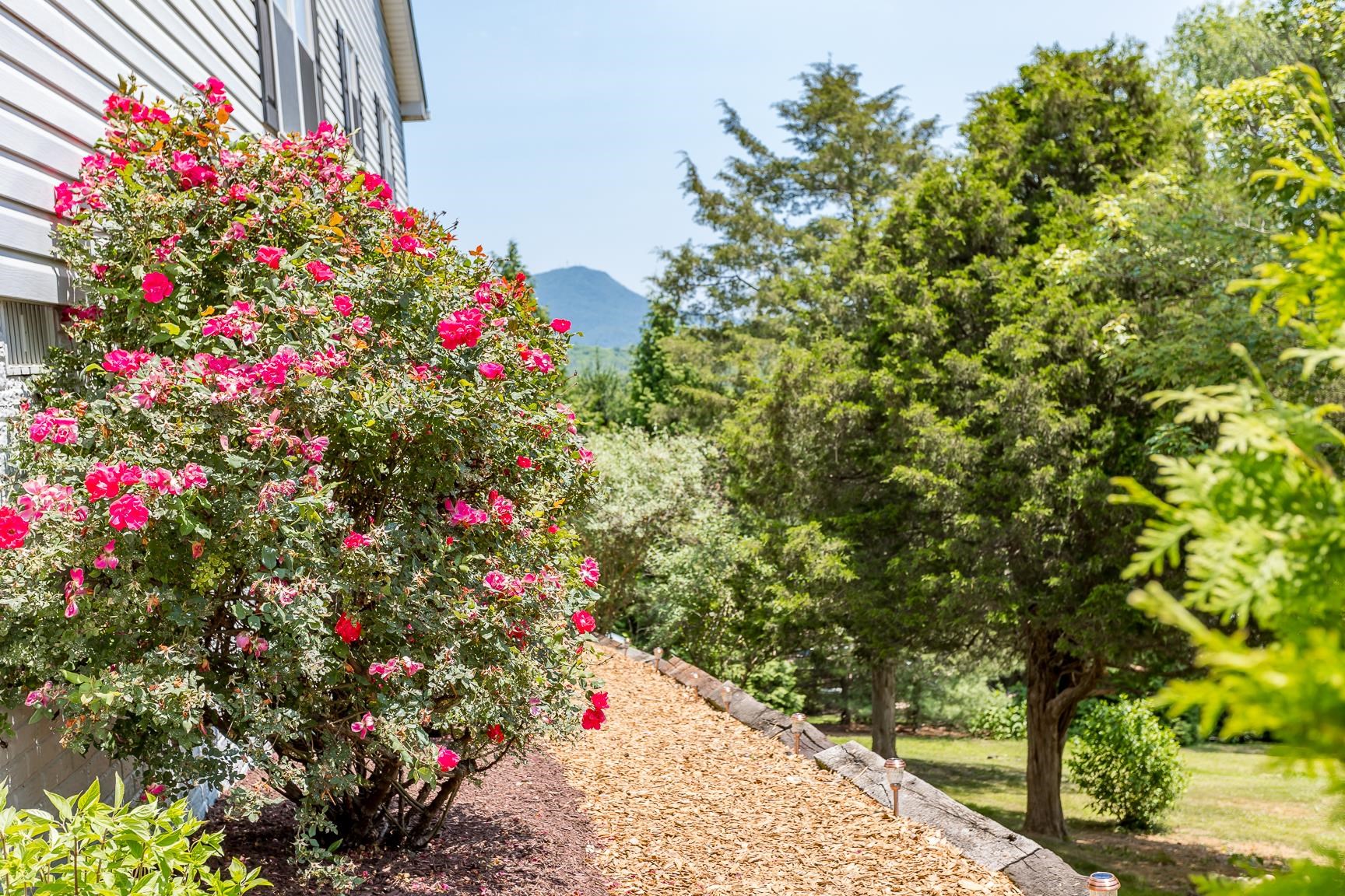 4003 PIRKEY LN, ROCKINGHAM, Virginia 22801, 3 Bedrooms Bedrooms, ,3 BathroomsBathrooms,Residential,4003 PIRKEY LN,675152 MLS # 675152