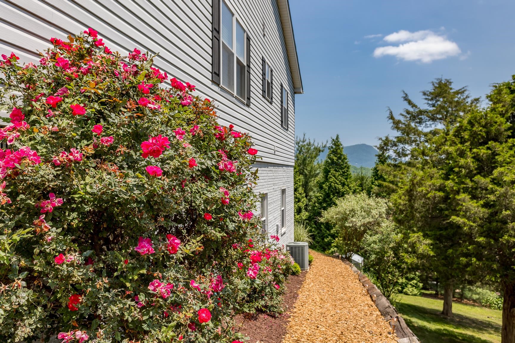 4003 PIRKEY LN, ROCKINGHAM, Virginia 22801, 3 Bedrooms Bedrooms, ,3 BathroomsBathrooms,Residential,4003 PIRKEY LN,675152 MLS # 675152