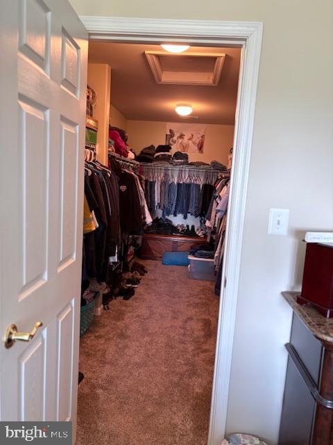 14305 S HALL CT, CULPEPER, Virginia 22701, 4 Bedrooms Bedrooms, ,2 BathroomsBathrooms,Residential,14305 S HALL CT,VACU2011522 MLS # VACU2011522 14305 S HALL CT, CULPEPER, Virginia 22701, 4 Bedrooms Bedrooms, ,2 BathroomsBathrooms,Residential,14305 S HALL CT,VACU2011522 MLS # VACU2011522