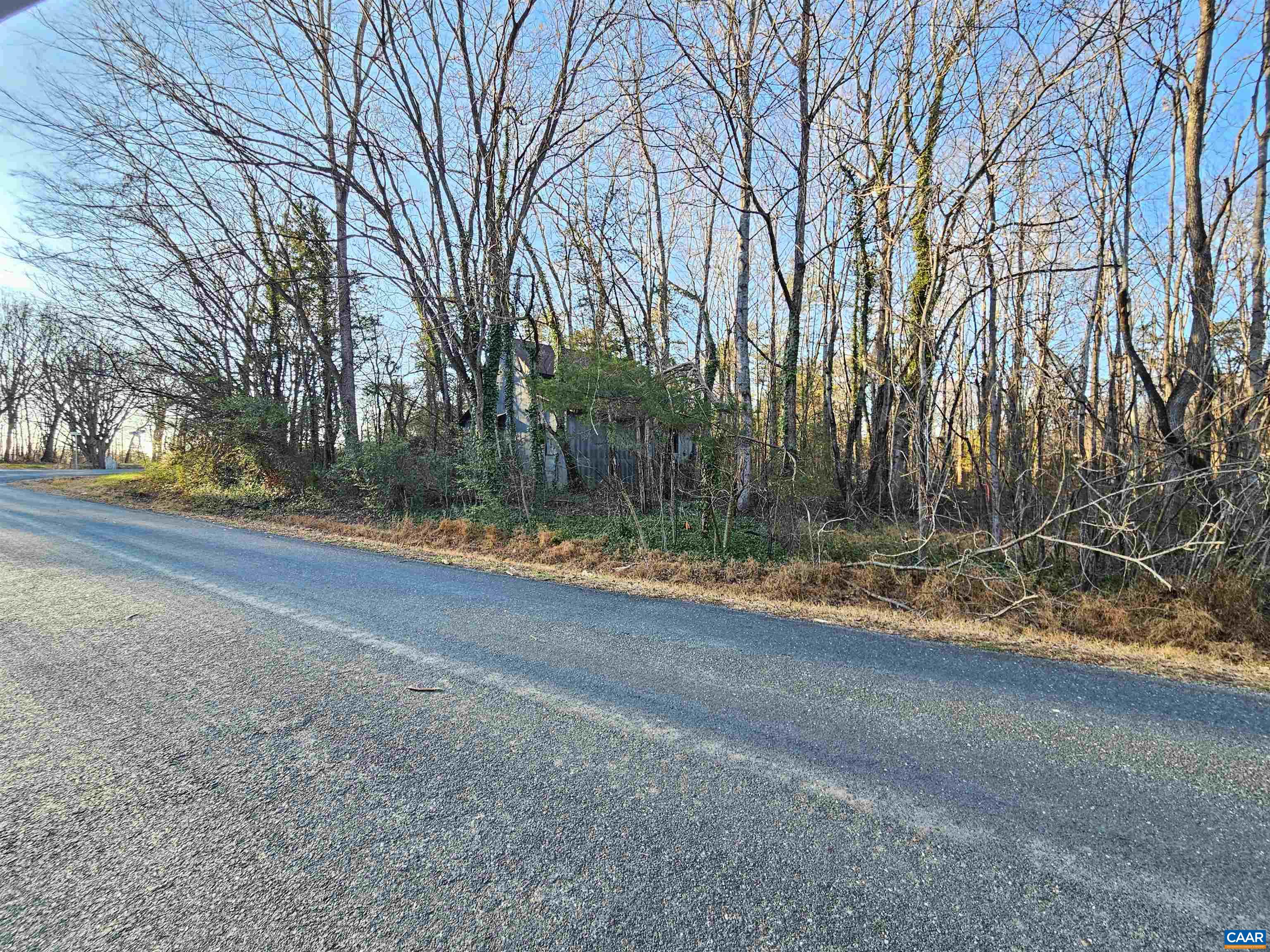 1 Ac PHYSIC SPRING RD, DILLWYN, Virginia 23936, ,Land,1 Ac PHYSIC SPRING RD,675175 MLS # 675175