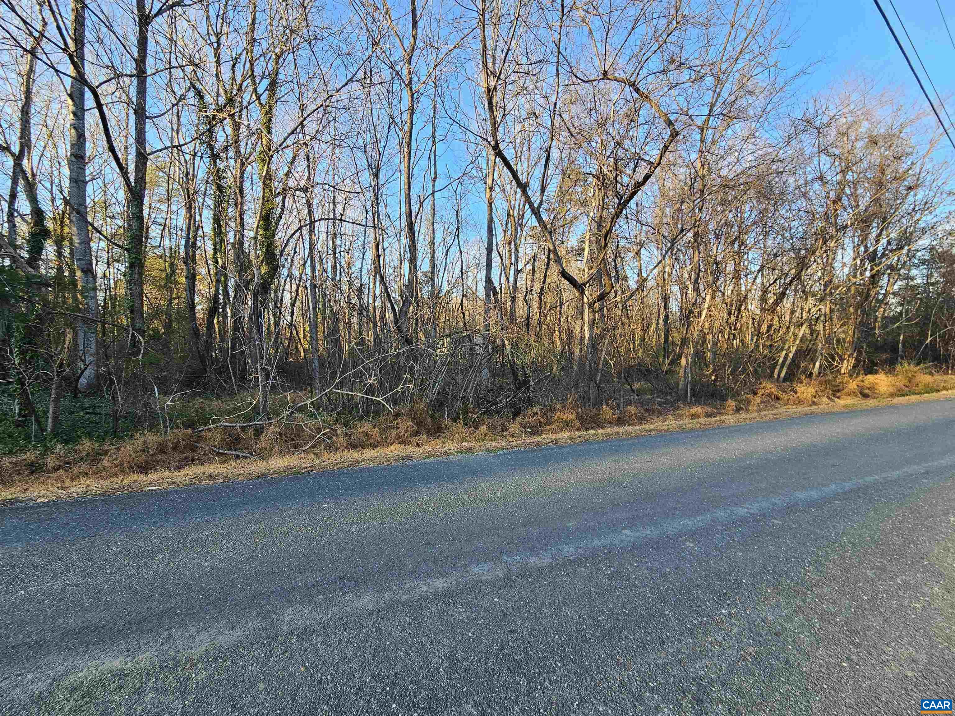 1 Ac PHYSIC SPRING RD, DILLWYN, Virginia 23936, ,Land,1 Ac PHYSIC SPRING RD,675175 MLS # 675175