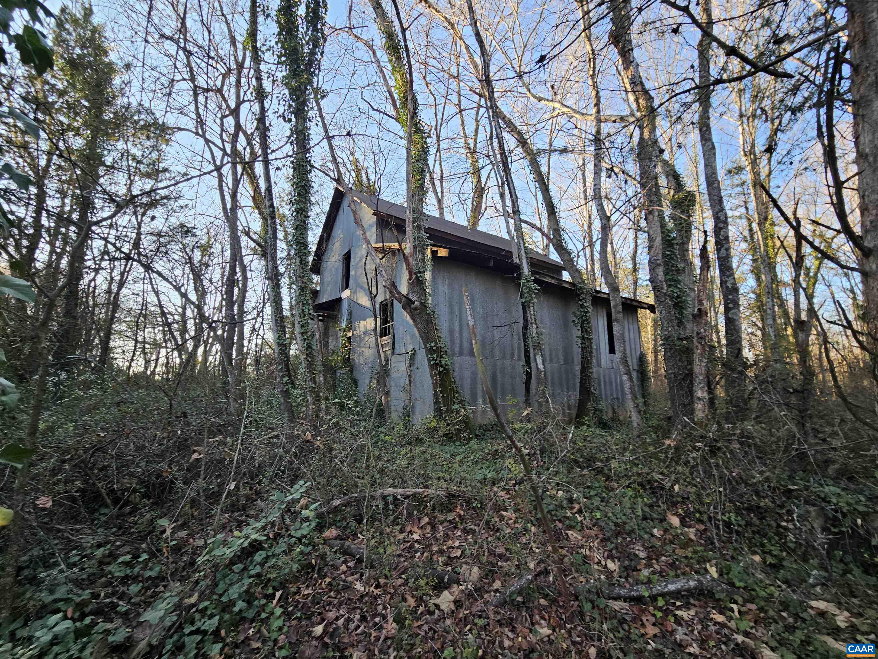 1 Ac PHYSIC SPRING RD, DILLWYN, Virginia 23936, ,Land,1 Ac PHYSIC SPRING RD,675175 MLS # 675175