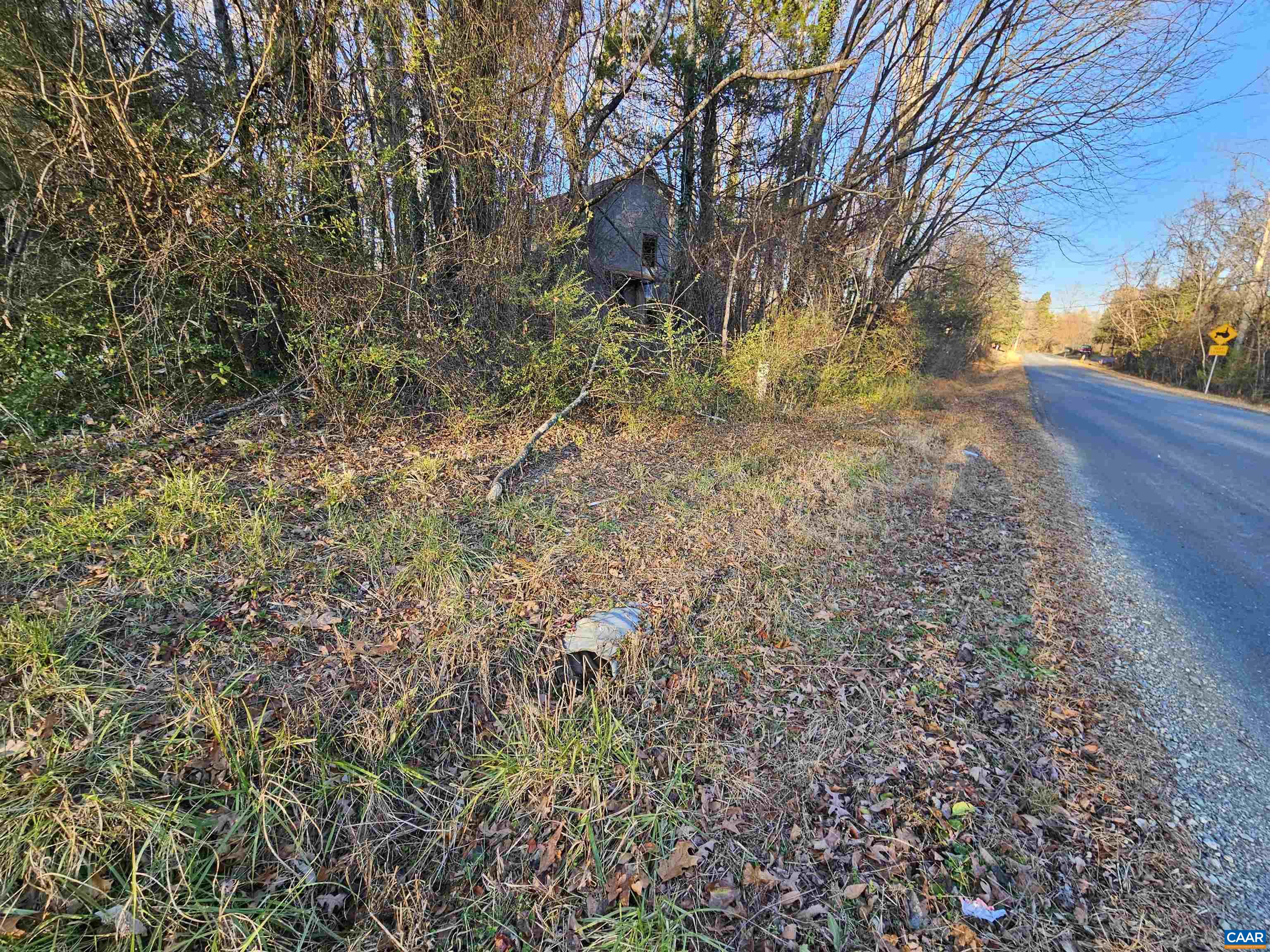 1 Ac PHYSIC SPRING RD, DILLWYN, Virginia 23936, ,Land,1 Ac PHYSIC SPRING RD,675175 MLS # 675175