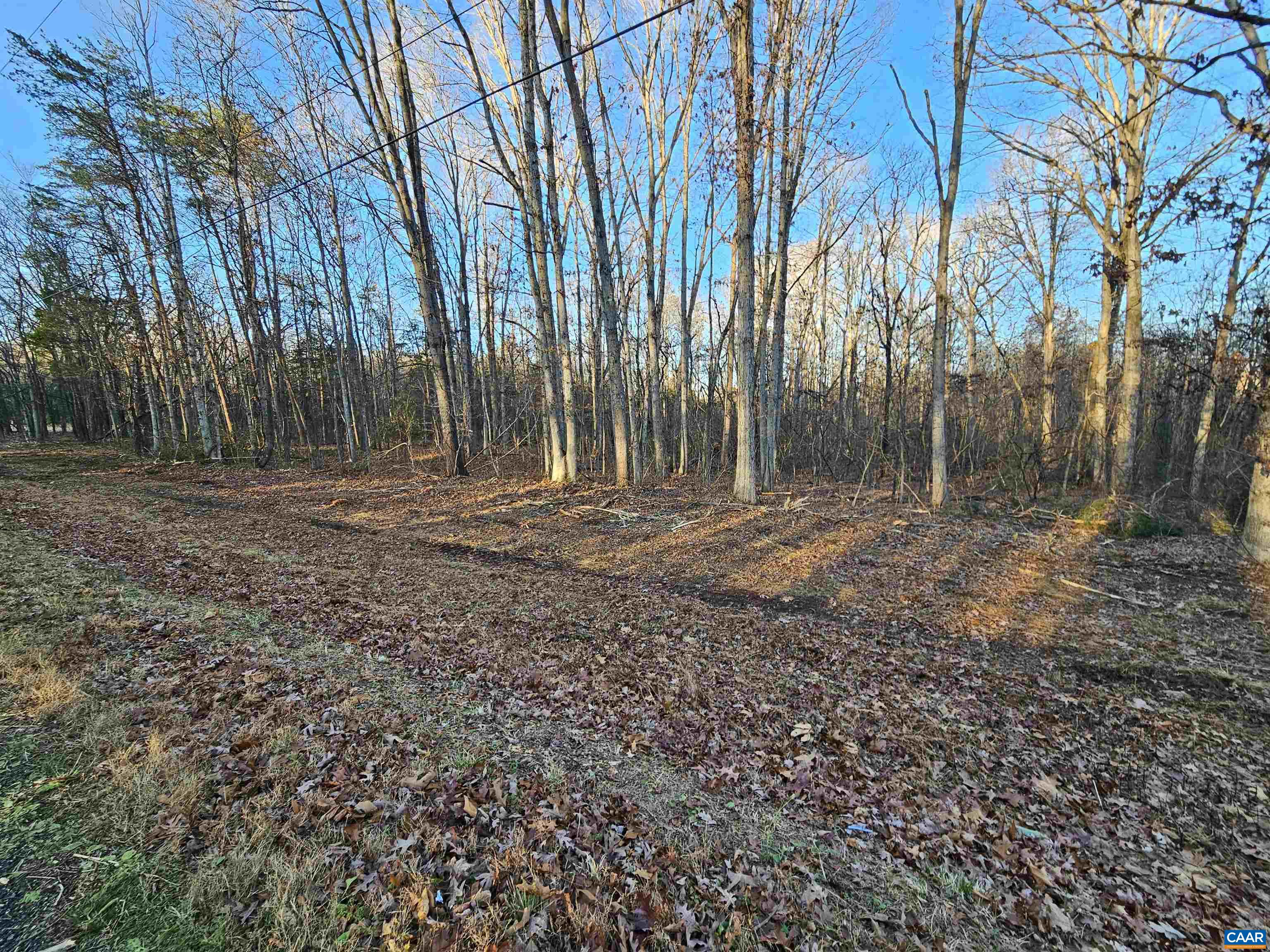 2.273 Ac GRAVEL HILL RD, DILLWYN, Virginia 23936, ,Land,2.273 Ac GRAVEL HILL RD,675184 MLS # 675184