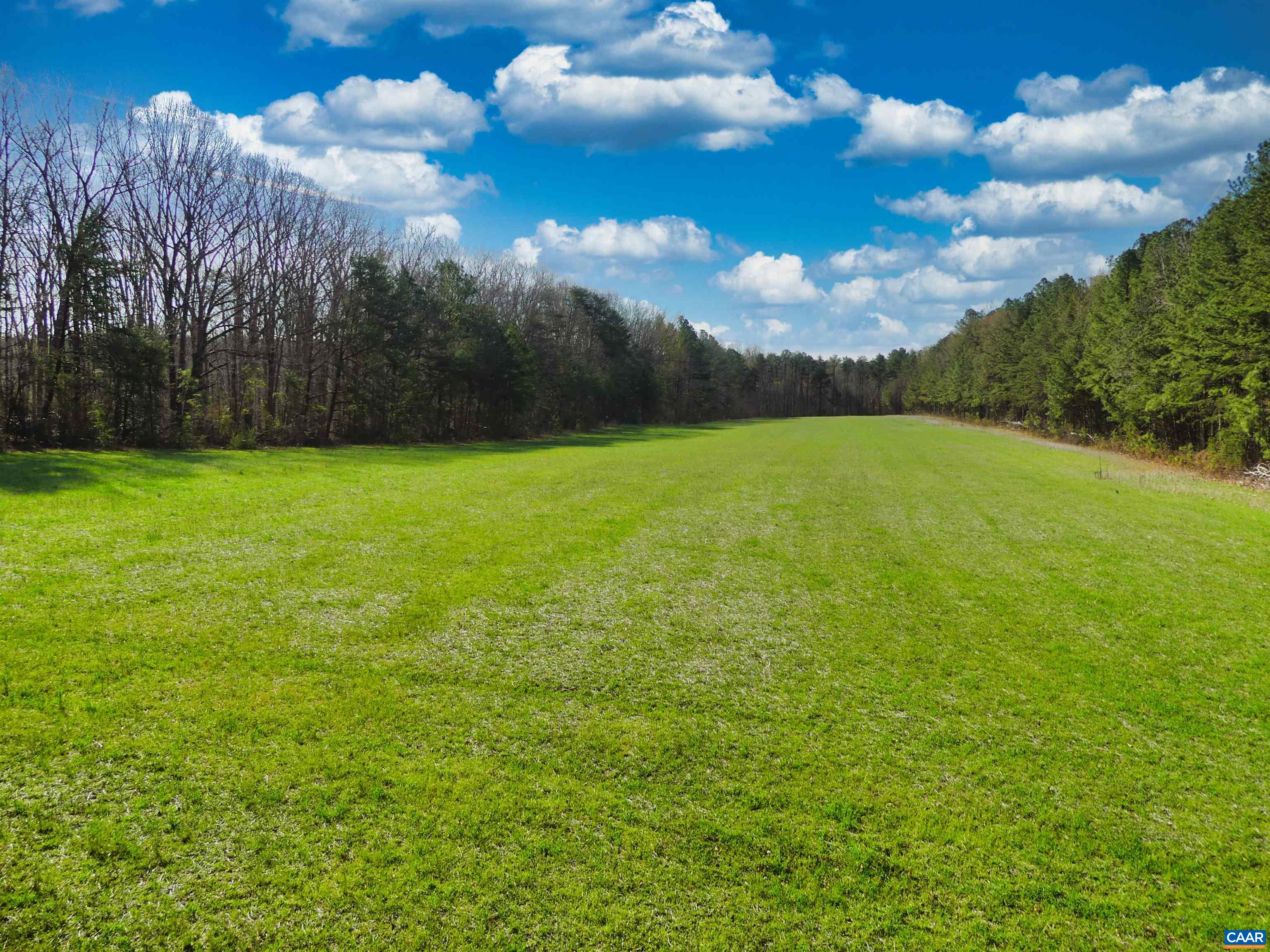 19075 CHILESBURG RD, BEAVERDAM, Virginia 23015, ,Land,19075 CHILESBURG RD,675189 MLS # 675189