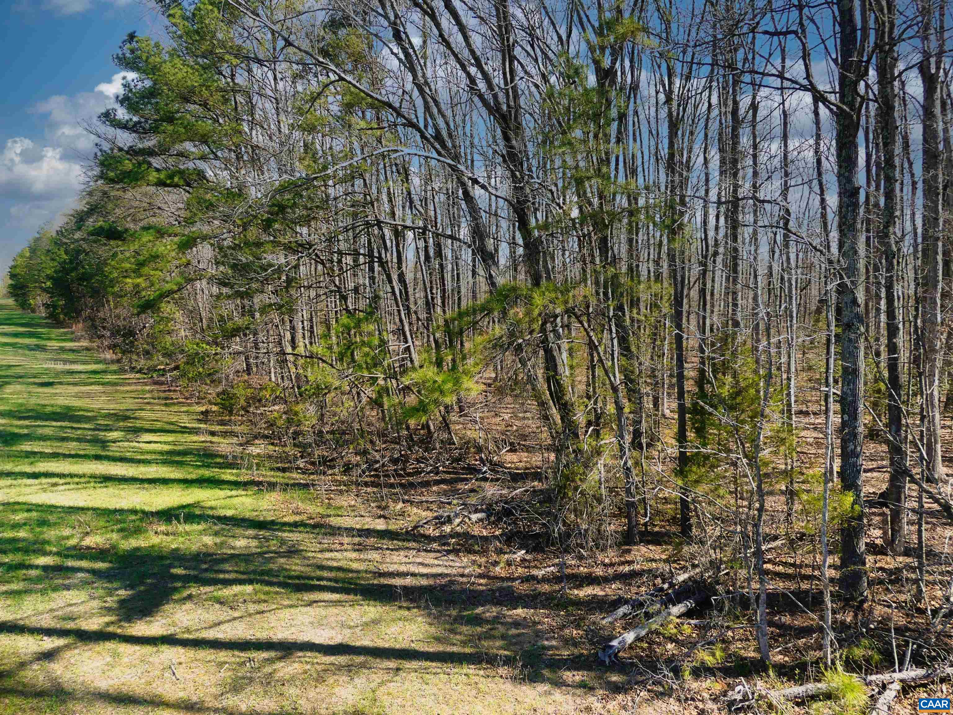 19075 CHILESBURG RD, BEAVERDAM, Virginia 23015, ,Land,19075 CHILESBURG RD,675189 MLS # 675189