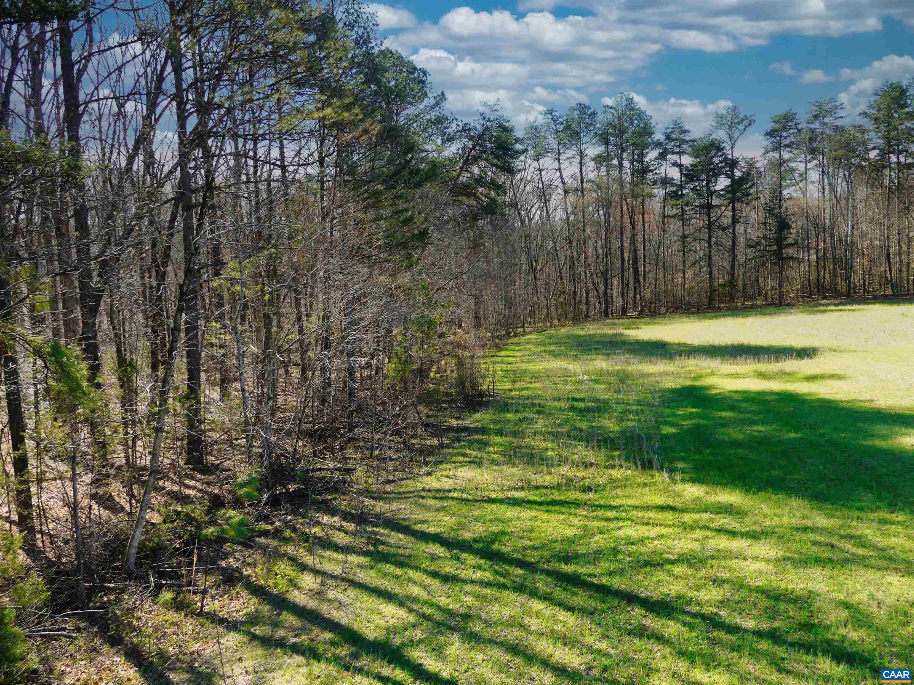 19075 CHILESBURG RD, BEAVERDAM, Virginia 23015, ,Land,19075 CHILESBURG RD,675189 MLS # 675189