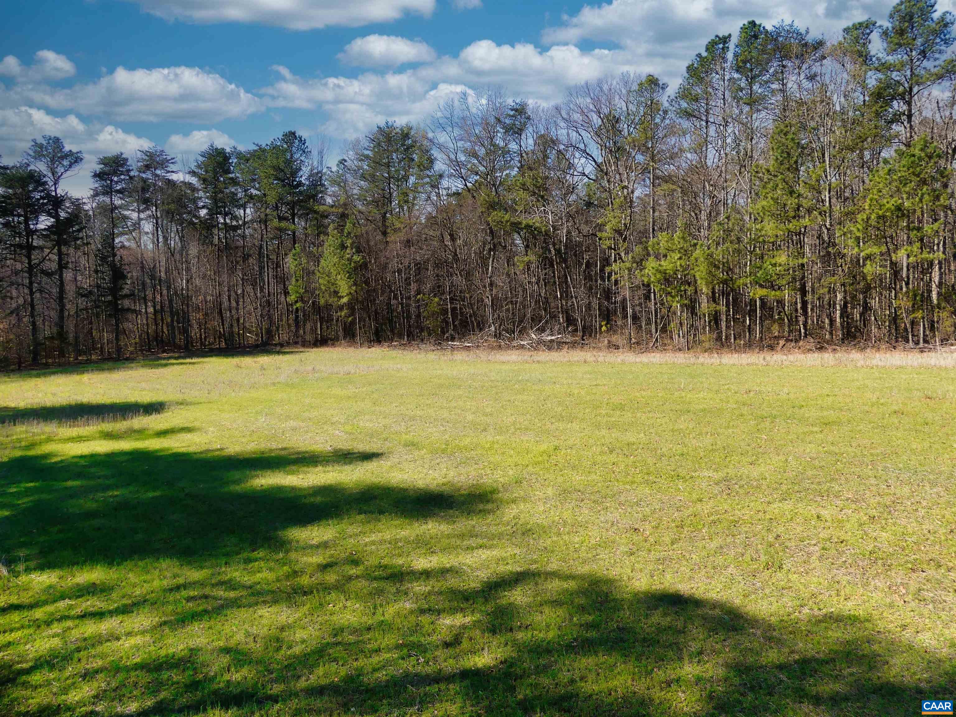 19075 CHILESBURG RD, BEAVERDAM, Virginia 23015, ,Land,19075 CHILESBURG RD,675189 MLS # 675189