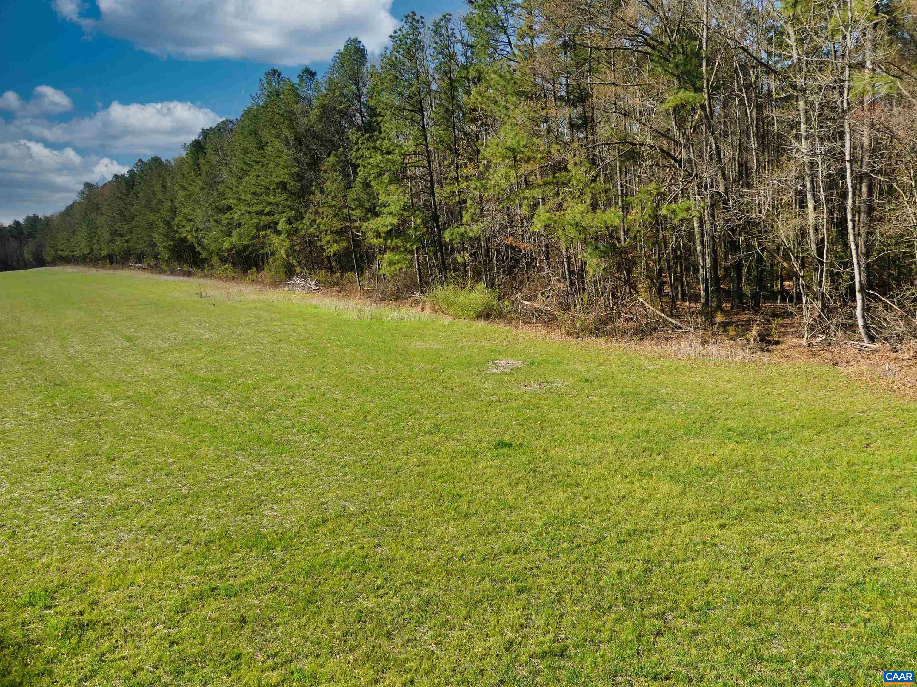 19075 CHILESBURG RD, BEAVERDAM, Virginia 23015, ,Land,19075 CHILESBURG RD,675189 MLS # 675189