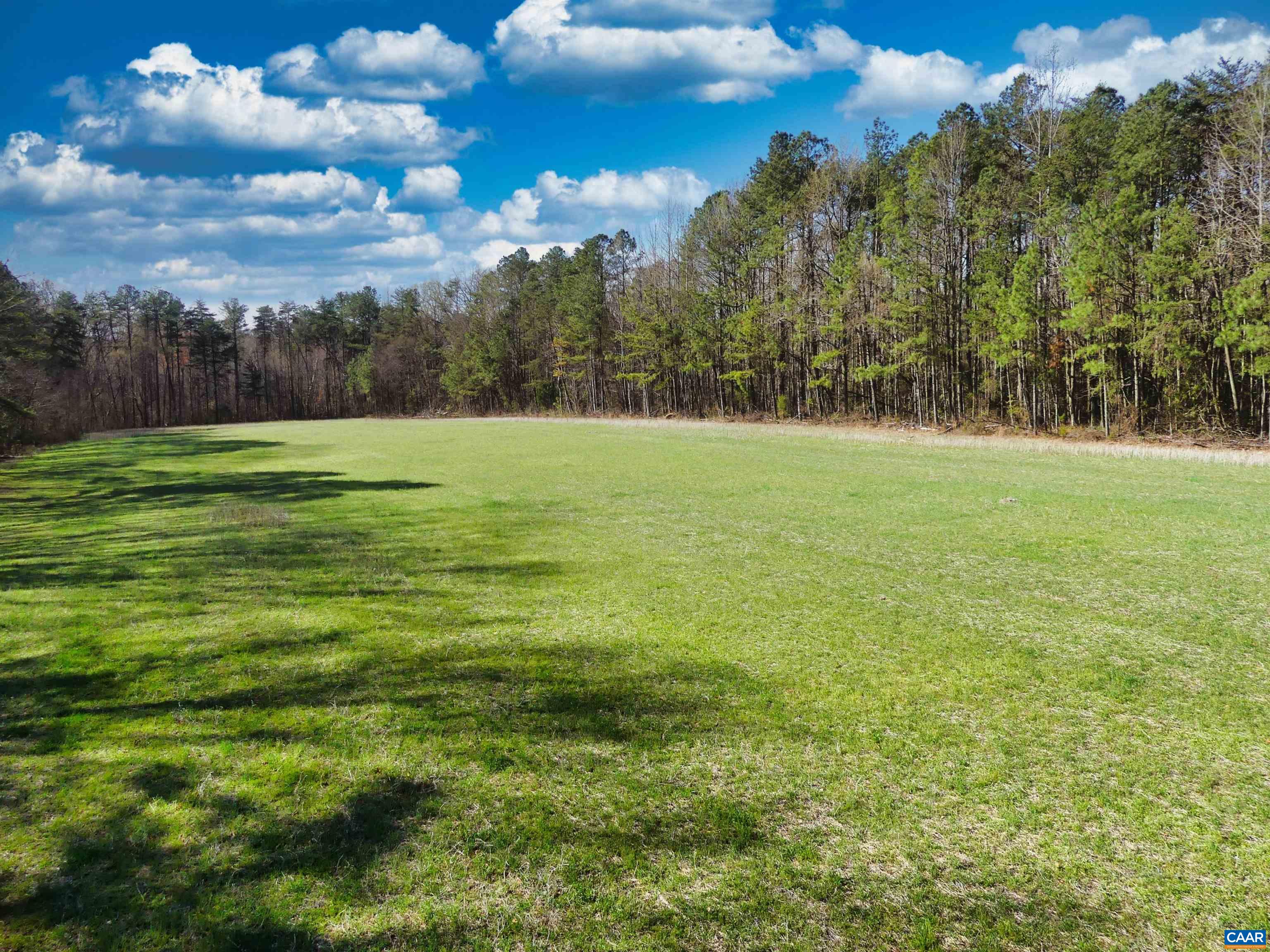 19075 CHILESBURG RD, BEAVERDAM, Virginia 23015, ,Land,19075 CHILESBURG RD,675189 MLS # 675189