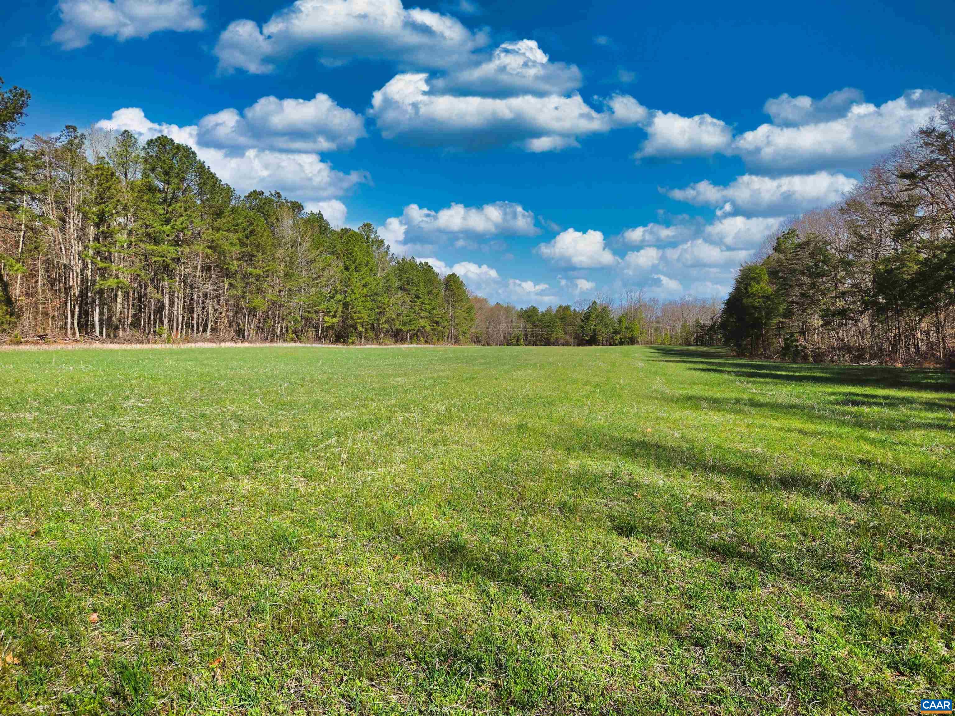 19075 CHILESBURG RD, BEAVERDAM, Virginia 23015, ,Land,19075 CHILESBURG RD,675189 MLS # 675189