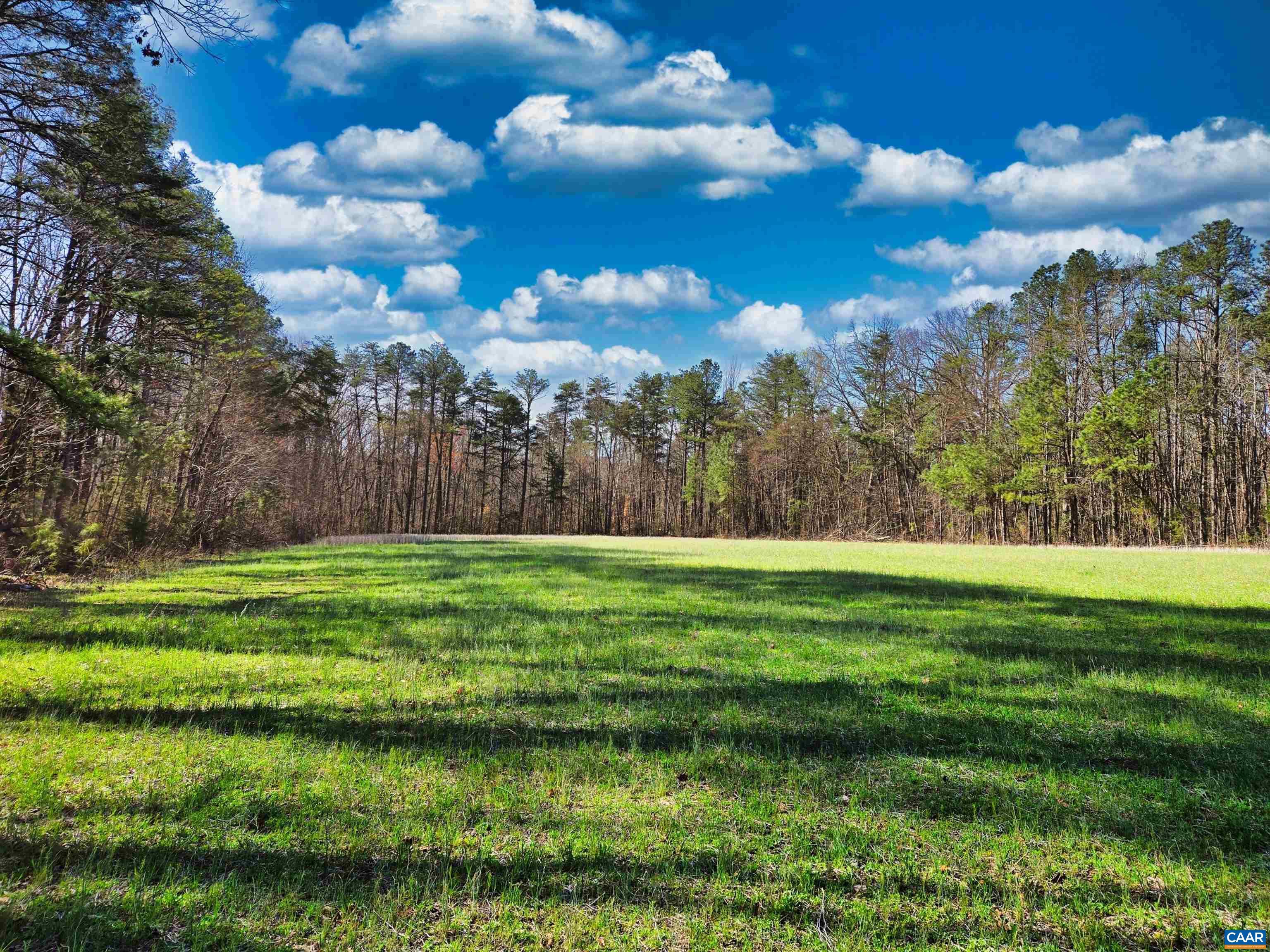 19075 CHILESBURG RD, BEAVERDAM, Virginia 23015, ,Land,19075 CHILESBURG RD,675189 MLS # 675189