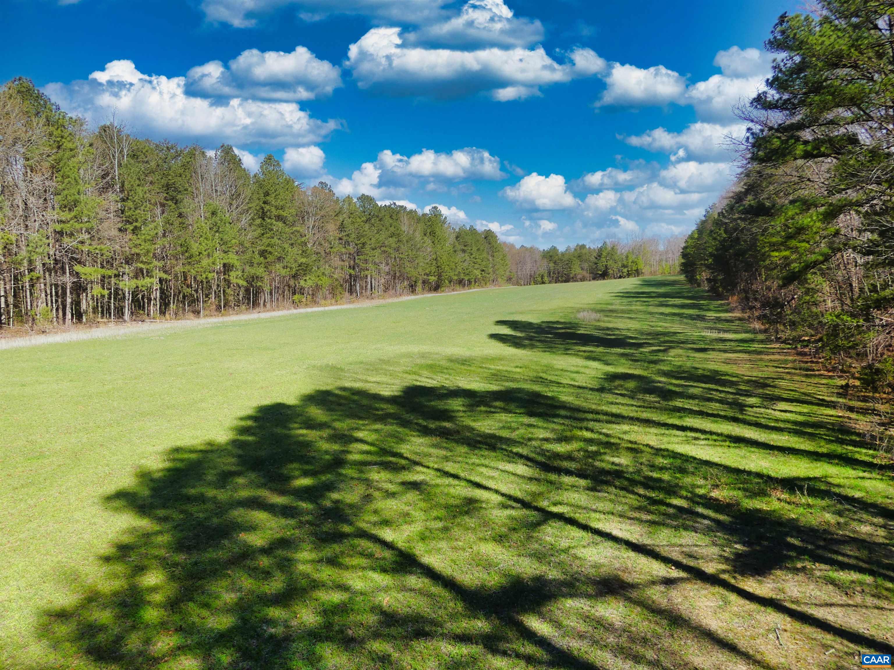 19075 CHILESBURG RD, BEAVERDAM, Virginia 23015, ,Land,19075 CHILESBURG RD,675189 MLS # 675189