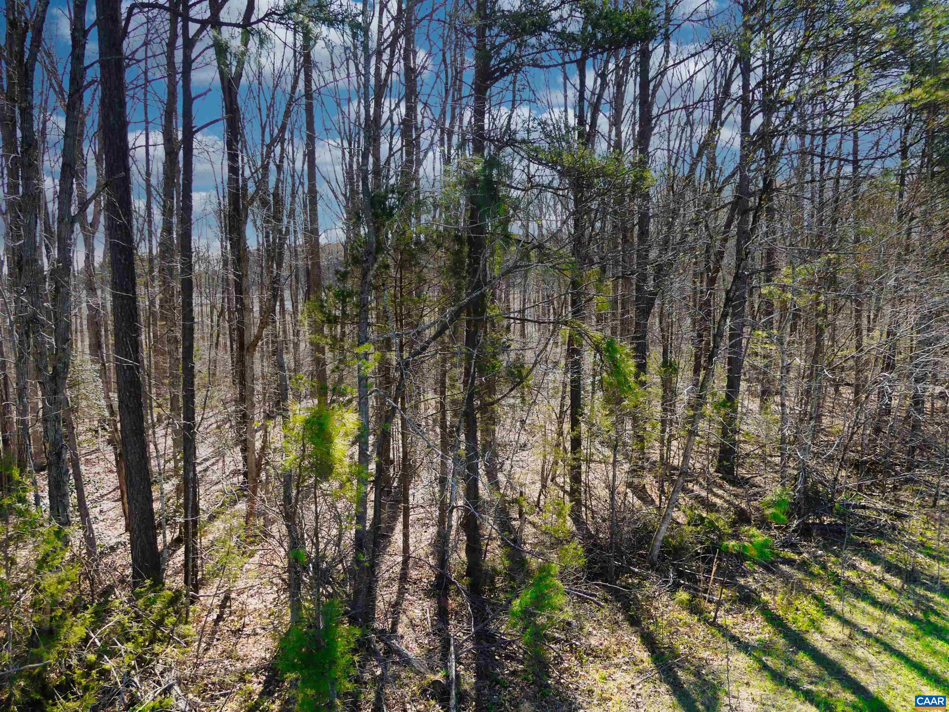 19075 CHILESBURG RD, BEAVERDAM, Virginia 23015, ,Land,19075 CHILESBURG RD,675189 MLS # 675189