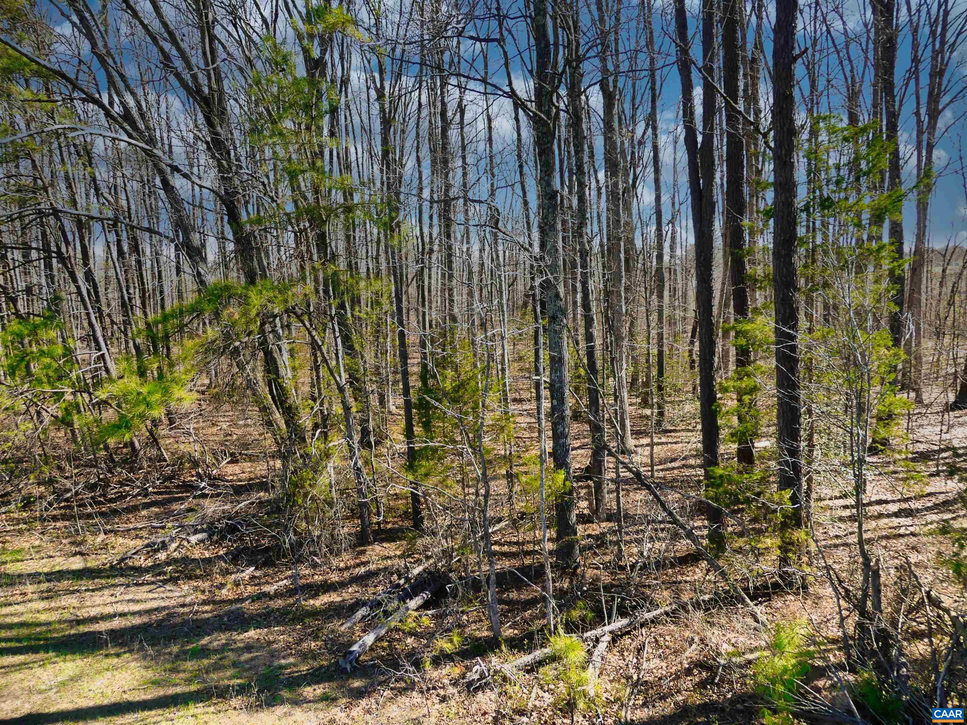 19075 CHILESBURG RD, BEAVERDAM, Virginia 23015, ,Land,19075 CHILESBURG RD,675189 MLS # 675189