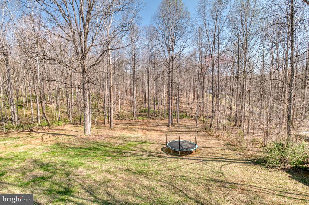 11099 EGGBORNSVILLE RD, RIXEYVILLE, Virginia 22737, 3 Bedrooms Bedrooms, ,2 BathroomsBathrooms,Residential,11099 EGGBORNSVILLE RD,VACU2013074 MLS # VACU2013074