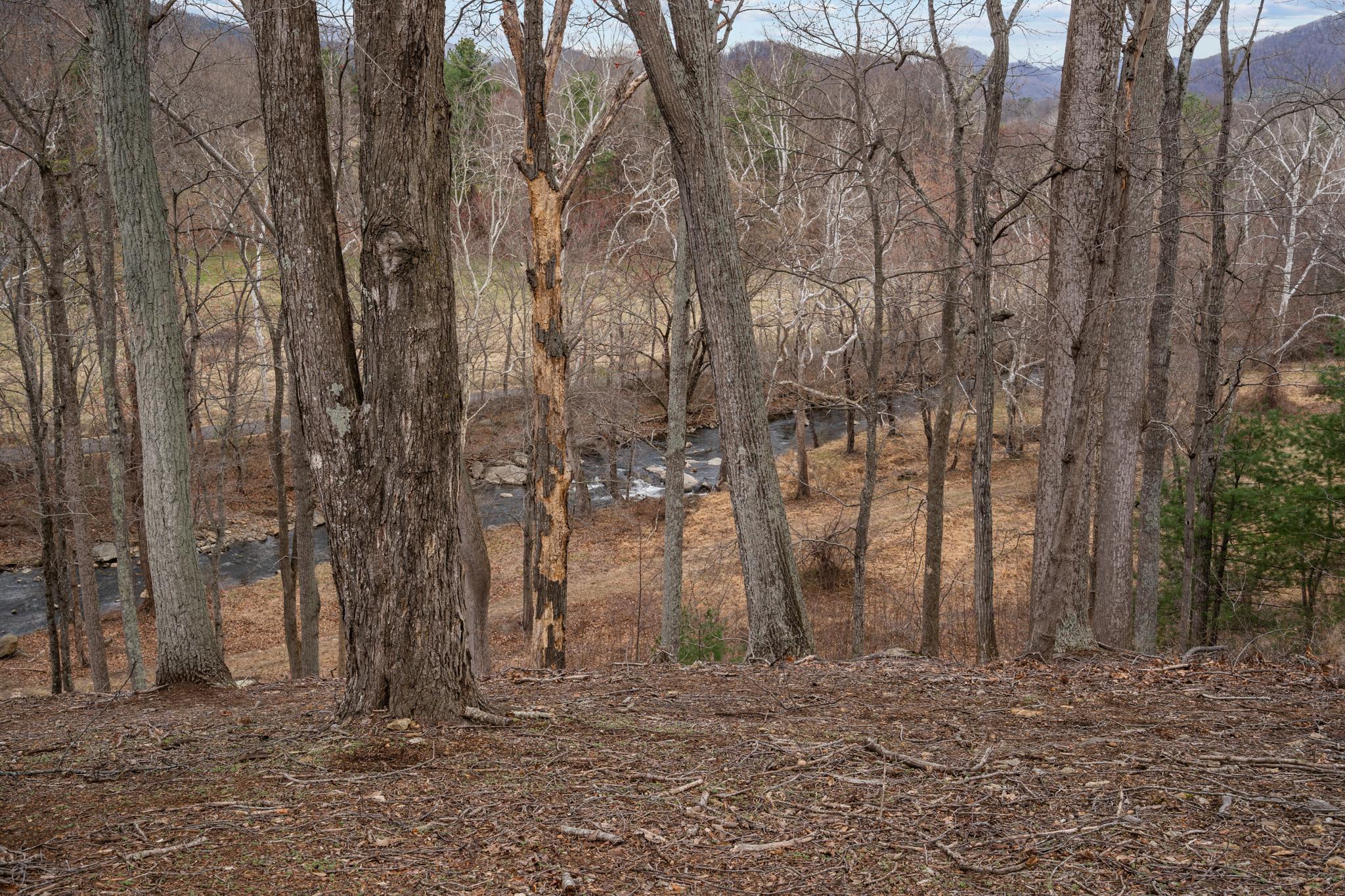 94 OLD HOLLOW RD, SPERRYVILLE, Virginia 22740, 2 Bedrooms Bedrooms, ,2 BathroomsBathrooms,Residential,94 OLD HOLLOW RD,VARP2002556 MLS # VARP2002556