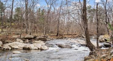 94 OLD HOLLOW RD, SPERRYVILLE, Virginia 22740, 2 Bedrooms Bedrooms, ,2 BathroomsBathrooms,Residential,94 OLD HOLLOW RD,VARP2002556 MLS # VARP2002556