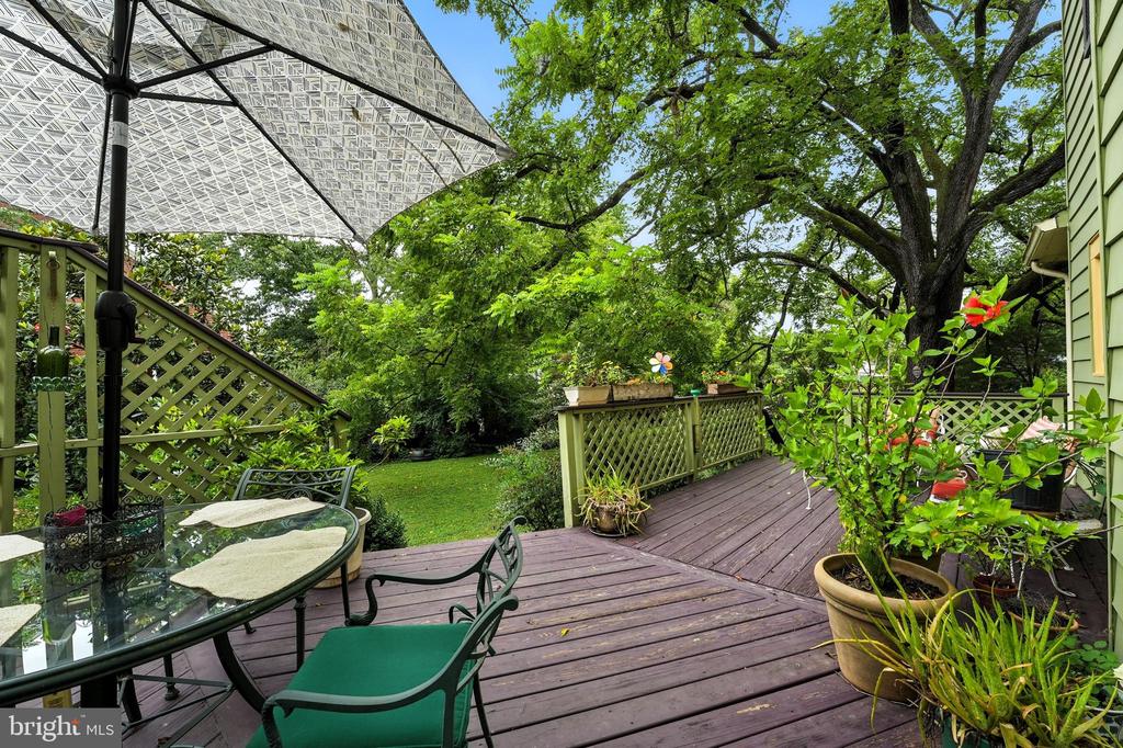 802 S BLUE RIDGE AVE, CULPEPER, Virginia 22701, 5 Bedrooms Bedrooms, ,2 BathroomsBathrooms,Residential,802 S BLUE RIDGE AVE,VACU2013188 MLS # VACU2013188