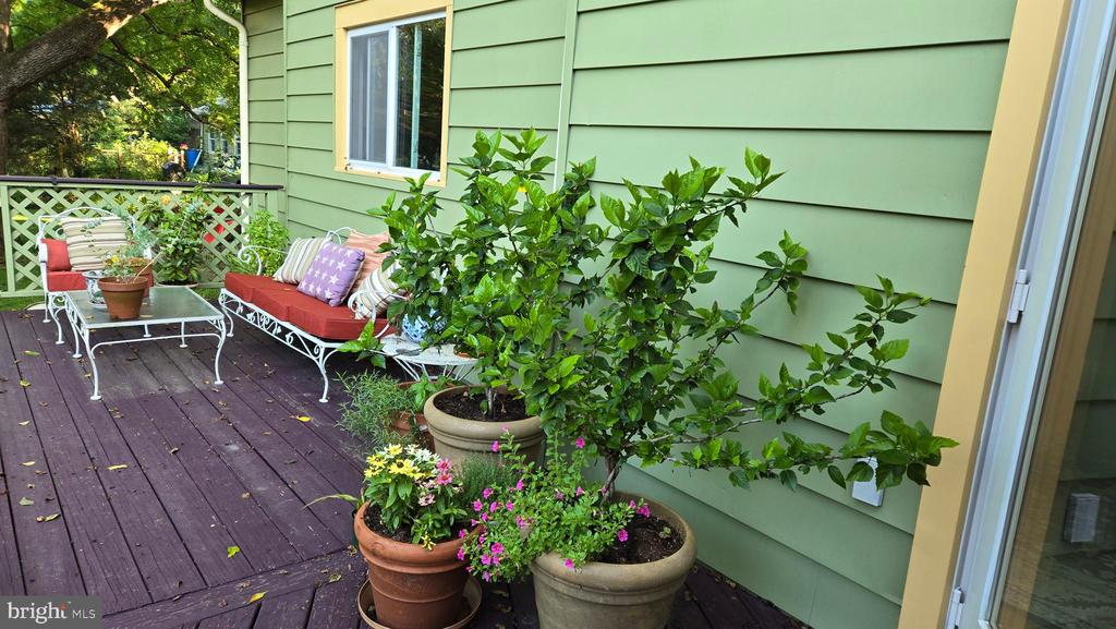 802 S BLUE RIDGE AVE, CULPEPER, Virginia 22701, 5 Bedrooms Bedrooms, ,2 BathroomsBathrooms,Residential,802 S BLUE RIDGE AVE,VACU2013188 MLS # VACU2013188