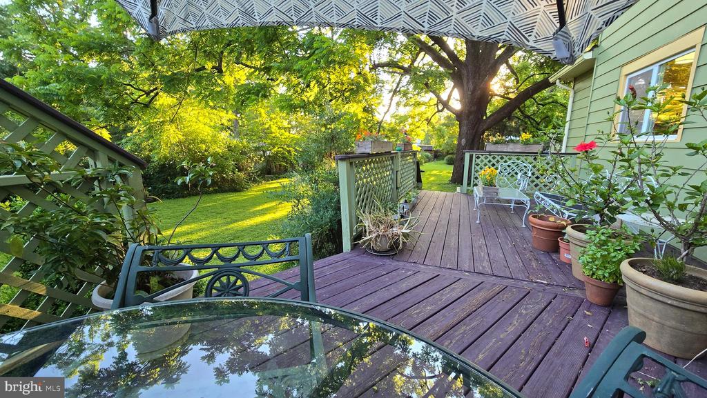 802 S BLUE RIDGE AVE, CULPEPER, Virginia 22701, 5 Bedrooms Bedrooms, ,2 BathroomsBathrooms,Residential,802 S BLUE RIDGE AVE,VACU2013188 MLS # VACU2013188