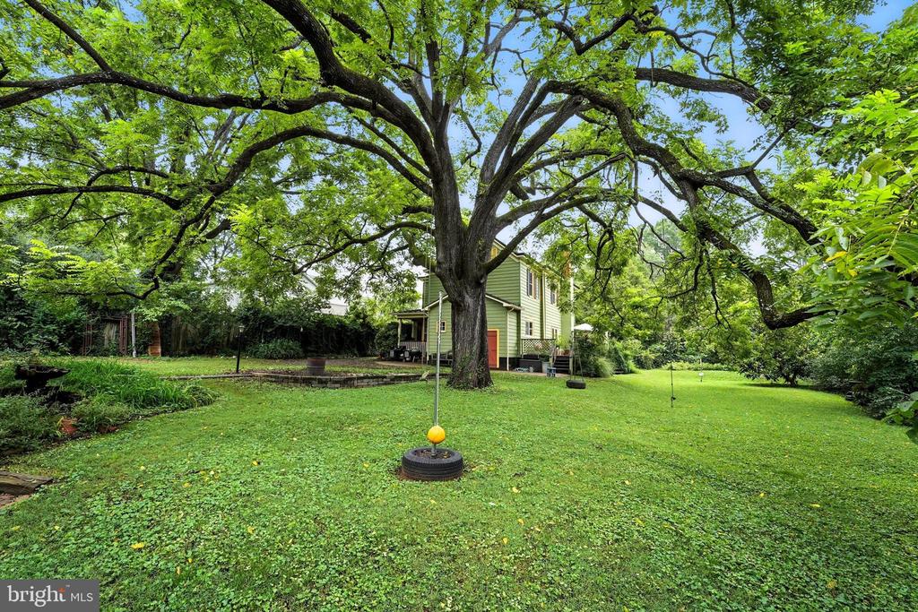 802 S BLUE RIDGE AVE, CULPEPER, Virginia 22701, 5 Bedrooms Bedrooms, ,2 BathroomsBathrooms,Residential,802 S BLUE RIDGE AVE,VACU2013188 MLS # VACU2013188