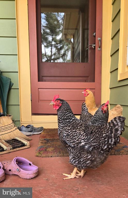 802 S BLUE RIDGE AVE, CULPEPER, Virginia 22701, 5 Bedrooms Bedrooms, ,2 BathroomsBathrooms,Residential,802 S BLUE RIDGE AVE,VACU2013188 MLS # VACU2013188