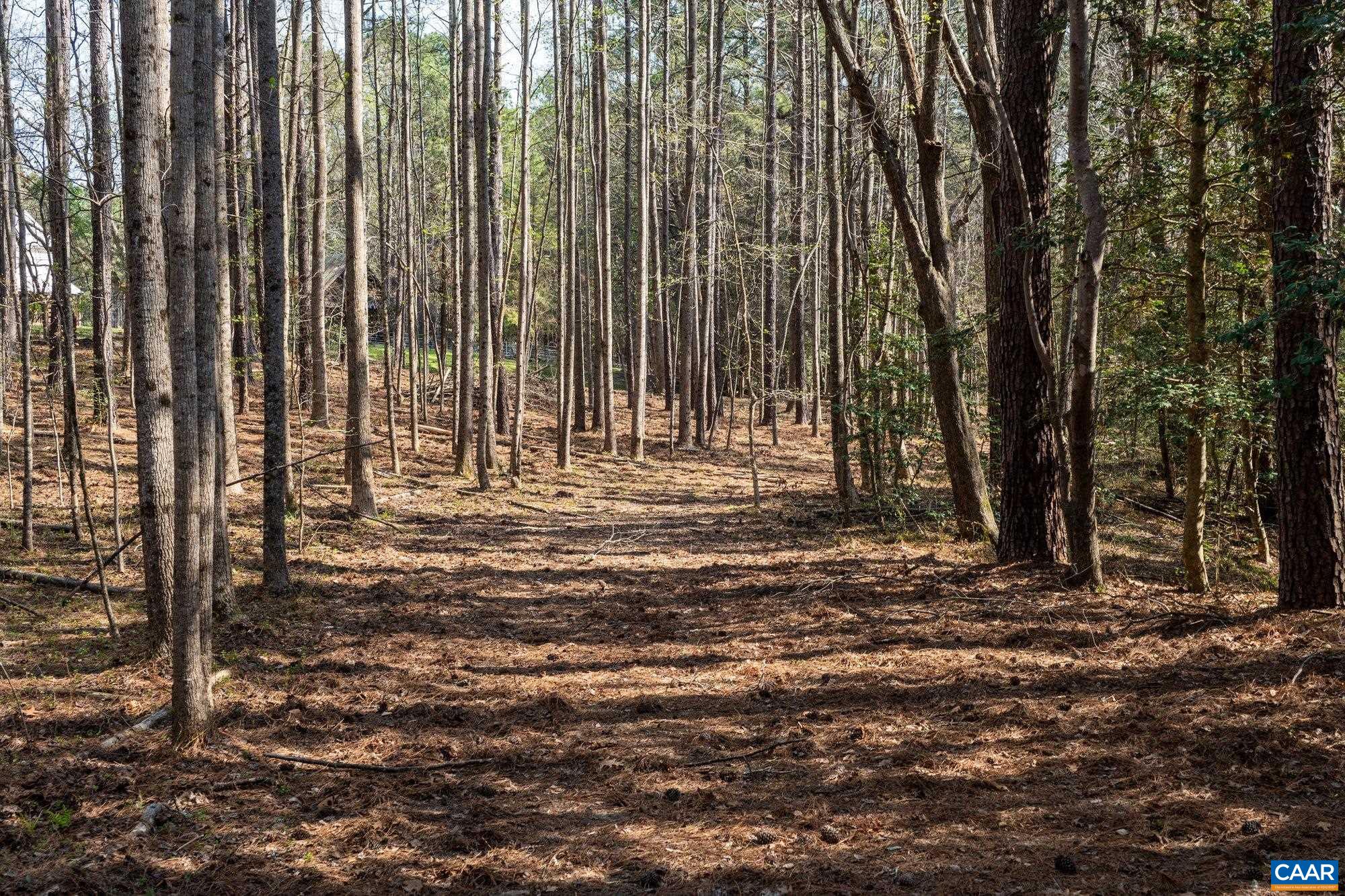 14910 WESTERN MILL RD, LAWRENCEVILLE, Virginia 23868, 5 Bedrooms Bedrooms, ,3 BathroomsBathrooms,Residential,Brunswick Mineral Springs,14910 WESTERN MILL RD,675164 MLS # 675164