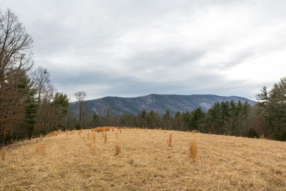 at the bottom of open land.