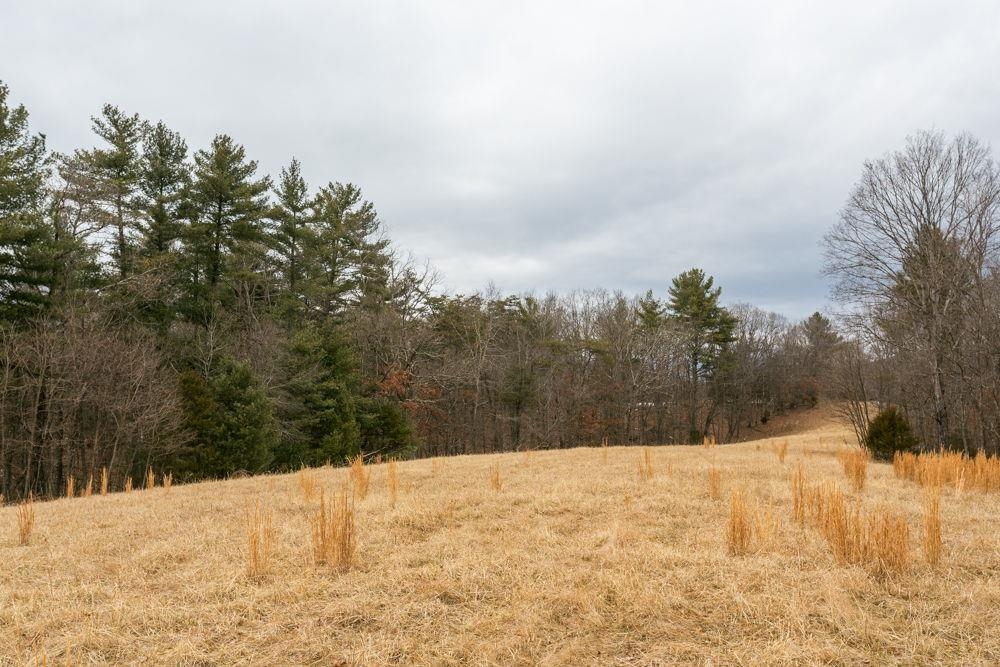 19962 RAINBOW RIDGE RD, BERGTON, Virginia 22811, 3 Bedrooms Bedrooms, ,1 BathroomBathrooms,Residential,19962 RAINBOW RIDGE RD,675176 MLS # 675176