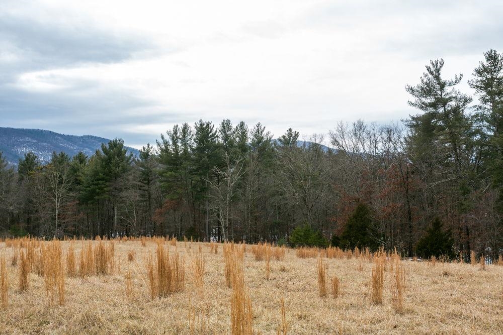 19962 RAINBOW RIDGE RD, BERGTON, Virginia 22811, 3 Bedrooms Bedrooms, ,1 BathroomBathrooms,Residential,19962 RAINBOW RIDGE RD,675176 MLS # 675176