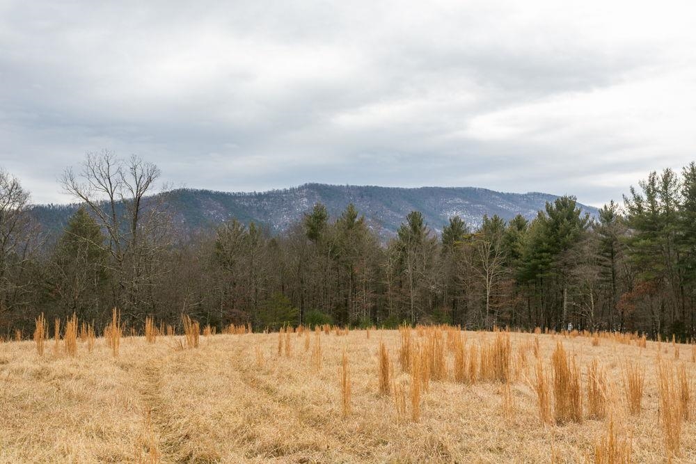 19962 RAINBOW RIDGE RD, BERGTON, Virginia 22811, 3 Bedrooms Bedrooms, ,1 BathroomBathrooms,Residential,19962 RAINBOW RIDGE RD,675176 MLS # 675176