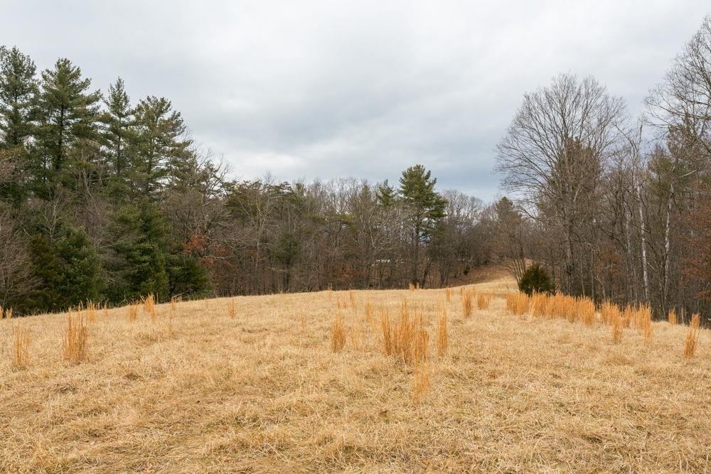 19962 RAINBOW RIDGE RD, BERGTON, Virginia 22811, 3 Bedrooms Bedrooms, ,1 BathroomBathrooms,Residential,19962 RAINBOW RIDGE RD,675176 MLS # 675176