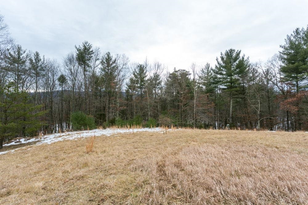 has tree line with views
