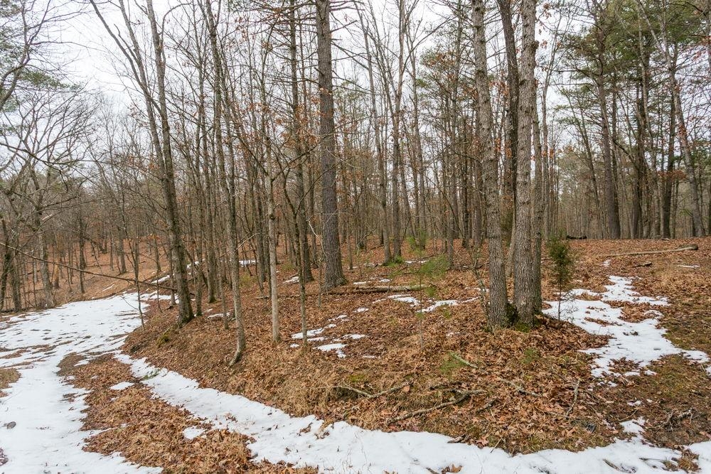 19962 RAINBOW RIDGE RD, BERGTON, Virginia 22811, 3 Bedrooms Bedrooms, ,1 BathroomBathrooms,Residential,19962 RAINBOW RIDGE RD,675176 MLS # 675176