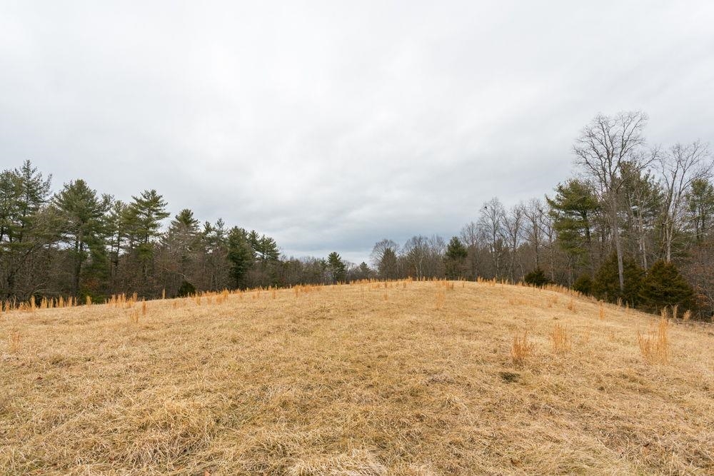 19962 RAINBOW RIDGE RD, BERGTON, Virginia 22811, 3 Bedrooms Bedrooms, ,1 BathroomBathrooms,Residential,19962 RAINBOW RIDGE RD,675176 MLS # 675176