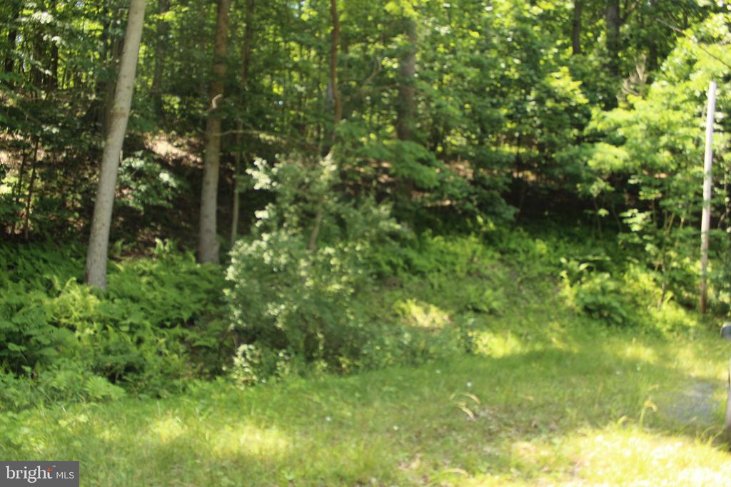 0 NETHERS, SPERRYVILLE, Virginia 22740, ,Land,0 NETHERS,VARP2002548 MLS # VARP2002548