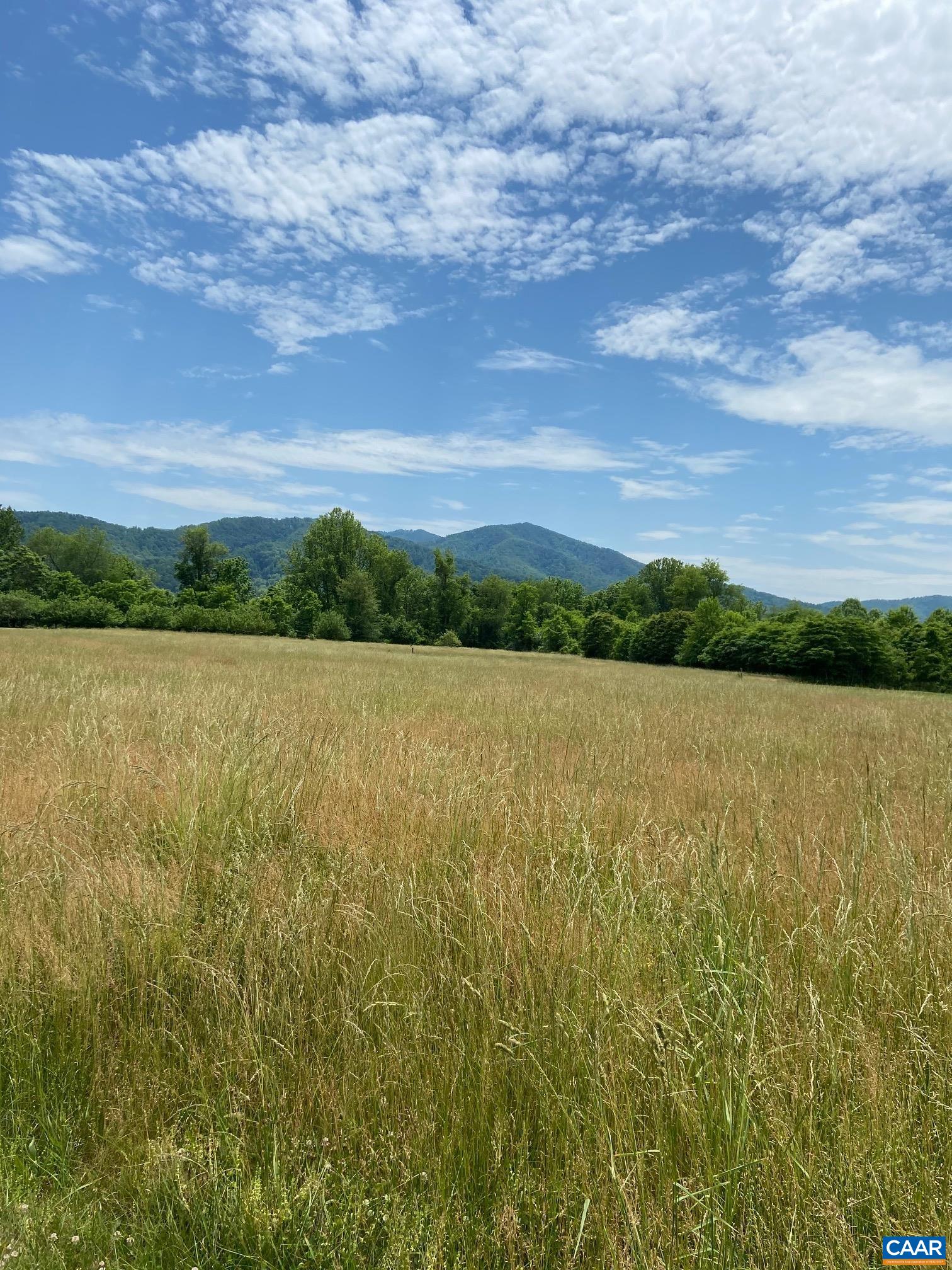 3 PHILLIPS LN, NELLYSFORD, Virginia 22958, ,Land,3 PHILLIPS LN,675233 MLS # 675233