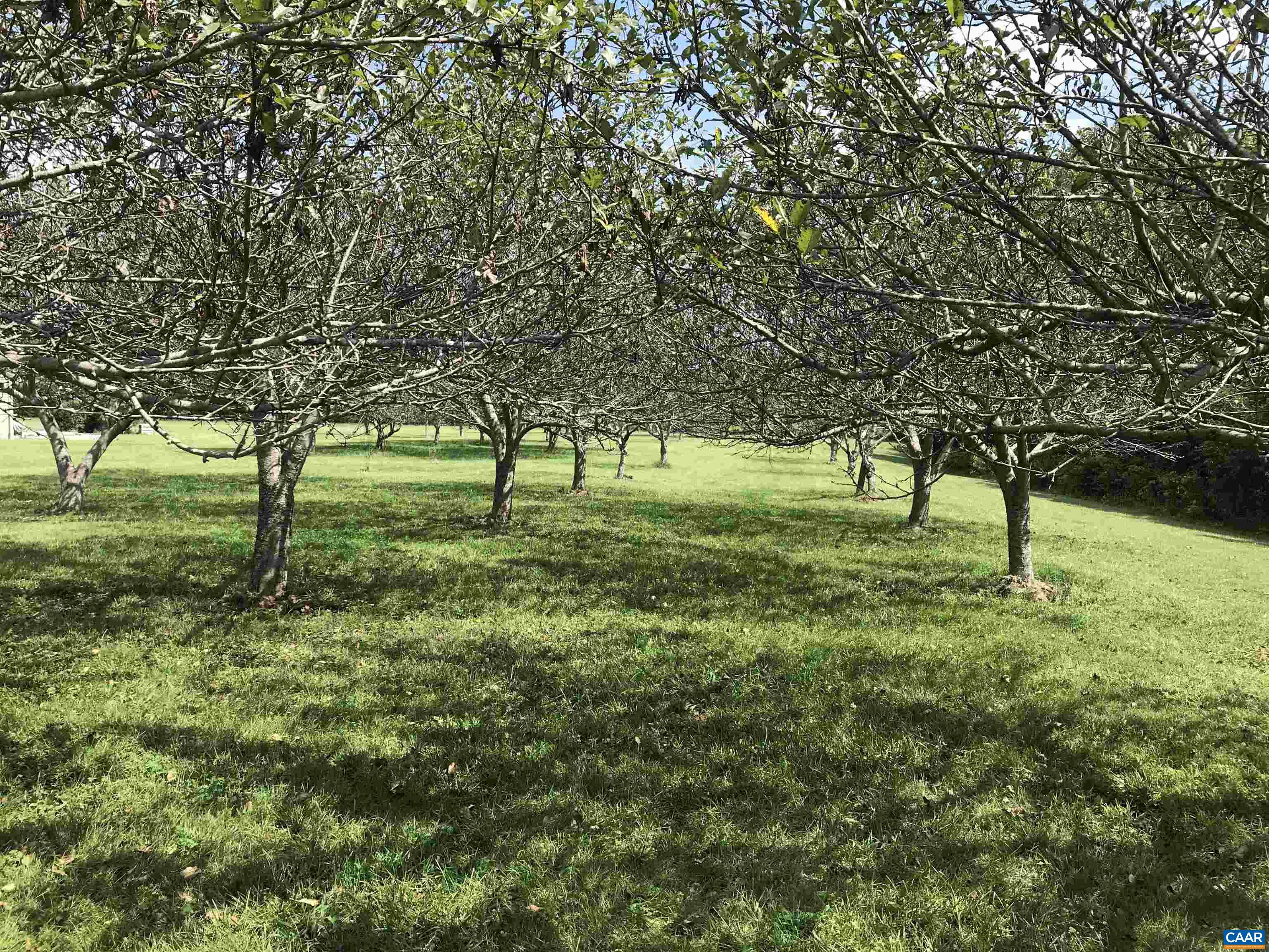 3 PHILLIPS LN, NELLYSFORD, Virginia 22958, ,Land,3 PHILLIPS LN,675233 MLS # 675233