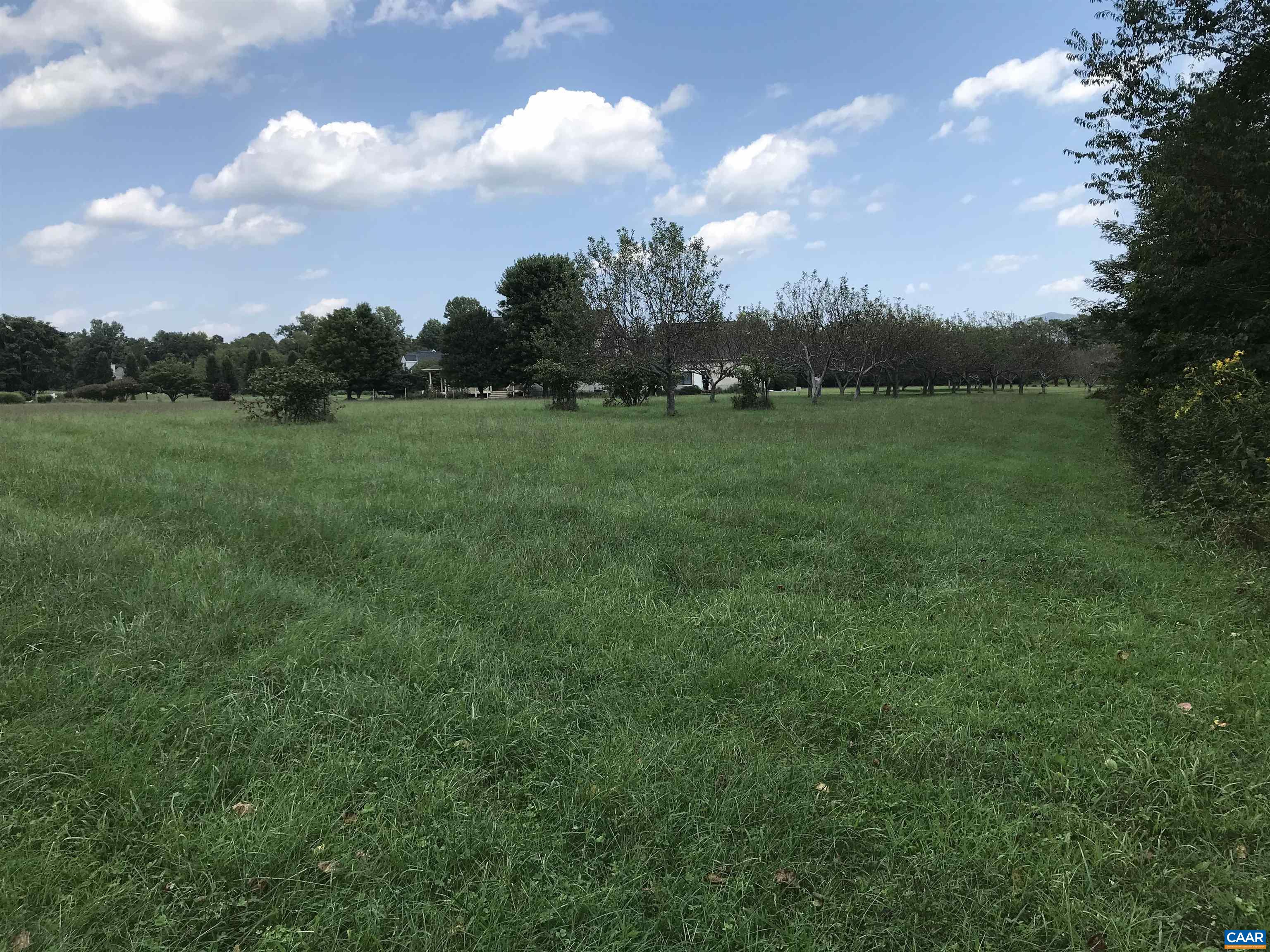 3 PHILLIPS LN, NELLYSFORD, Virginia 22958, ,Land,3 PHILLIPS LN,675233 MLS # 675233