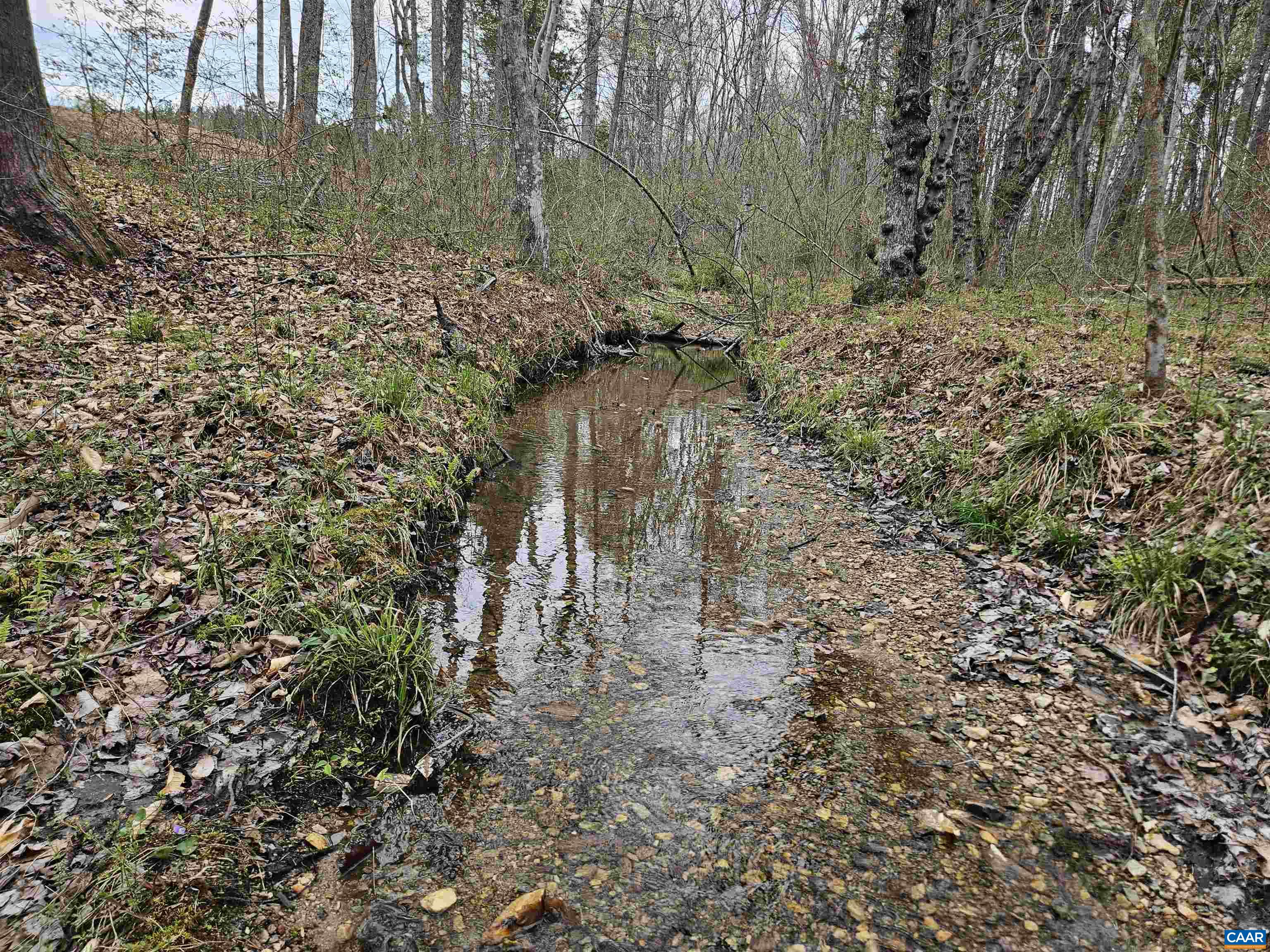 83.84 Ac S JAMES RIVER RD, BUCKINGHAM, Virginia 23921, ,Farm,83.84 Ac S JAMES RIVER RD,675234 MLS # 675234