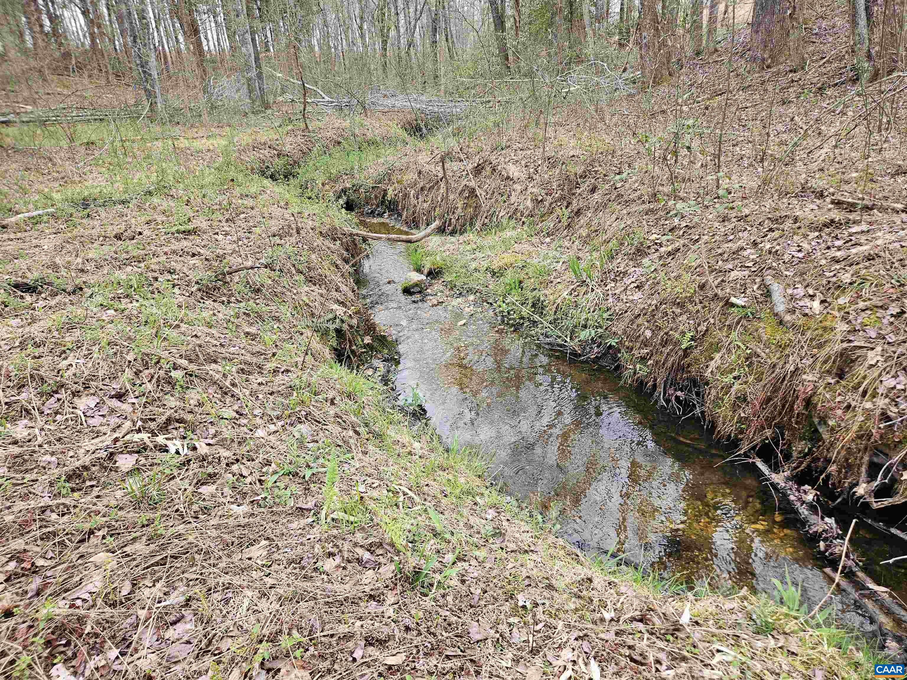 83.84 Ac S JAMES RIVER RD, BUCKINGHAM, Virginia 23921, ,Farm,83.84 Ac S JAMES RIVER RD,675234 MLS # 675234