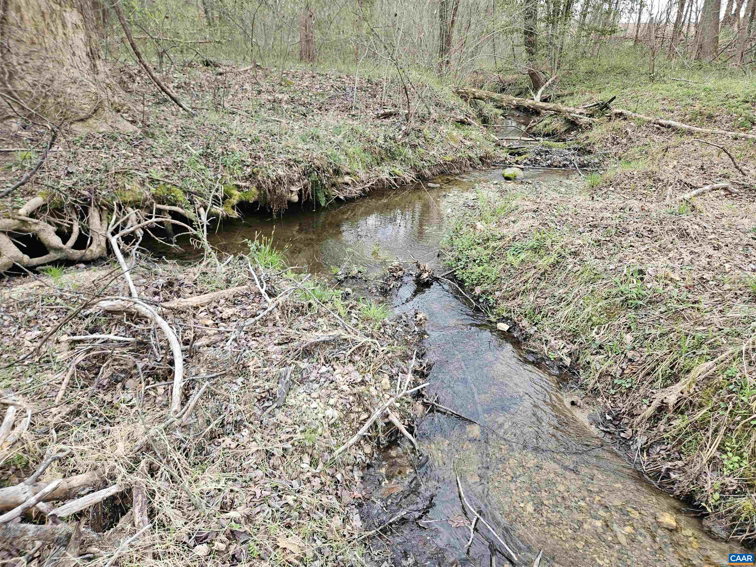 83.84 Ac S JAMES RIVER RD, BUCKINGHAM, Virginia 23921, ,Farm,83.84 Ac S JAMES RIVER RD,675234 MLS # 675234