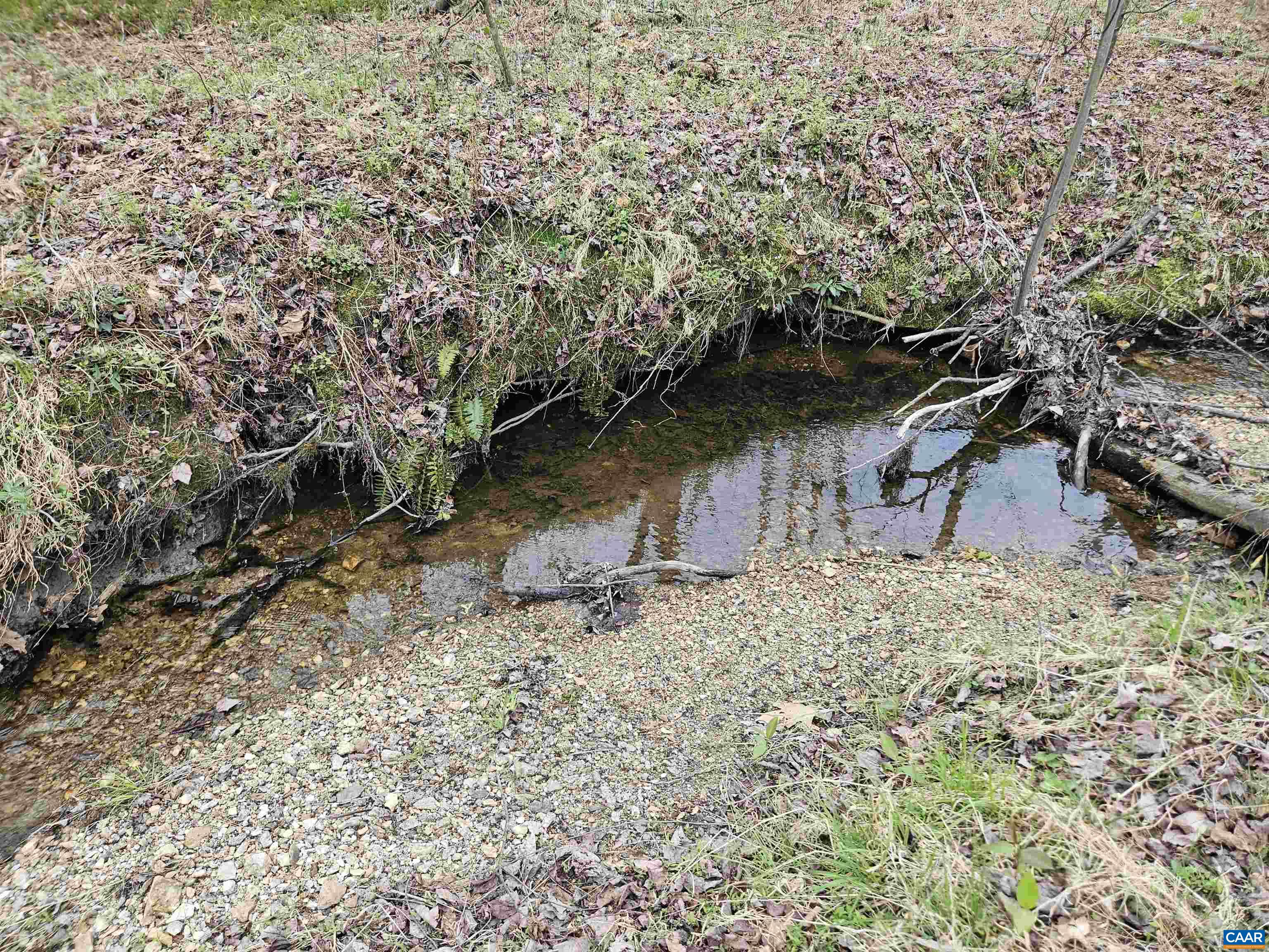 83.84 Ac S JAMES RIVER RD, BUCKINGHAM, Virginia 23921, ,Farm,83.84 Ac S JAMES RIVER RD,675234 MLS # 675234