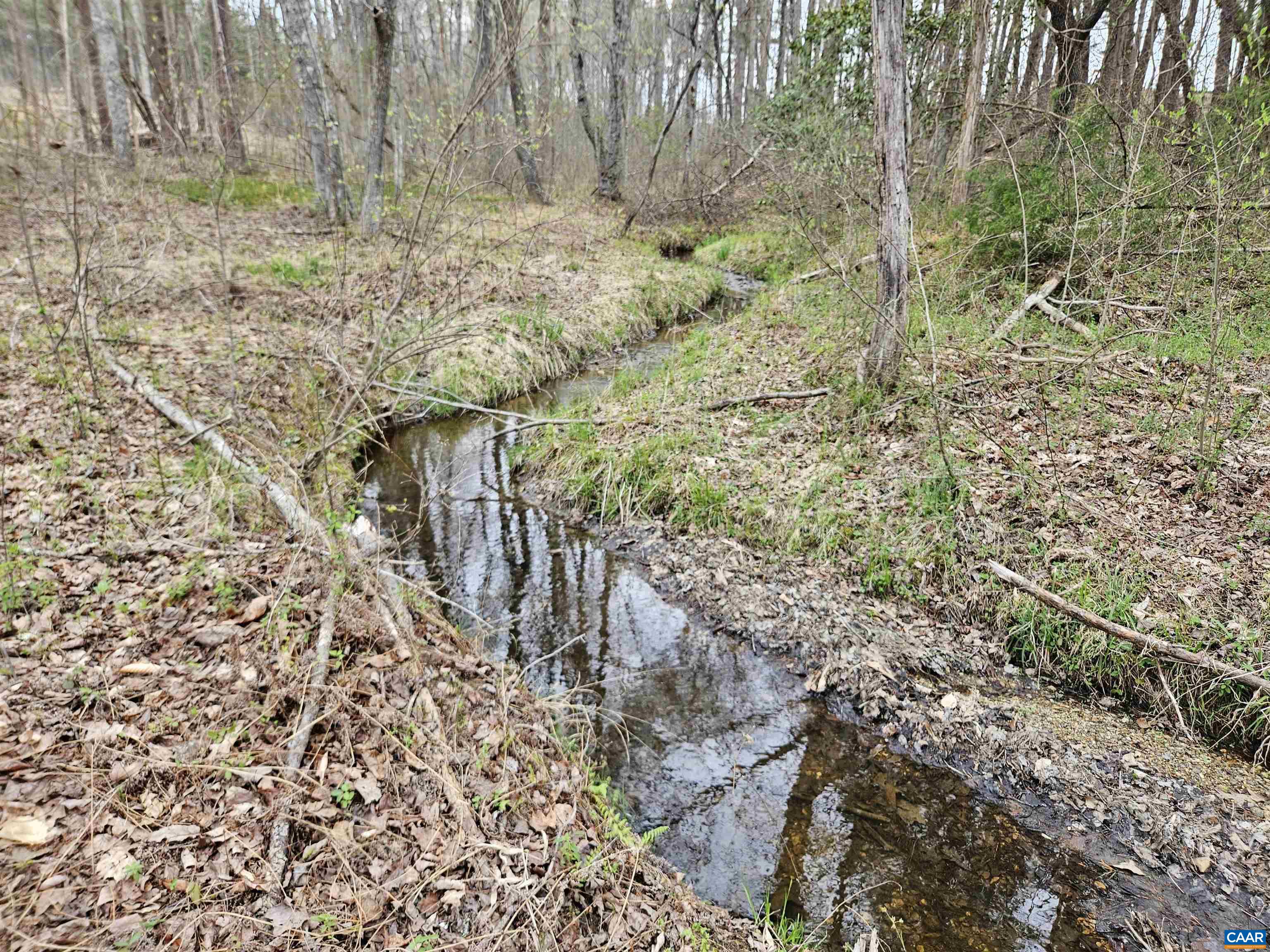 83.84 Ac S JAMES RIVER RD, BUCKINGHAM, Virginia 23921, ,Farm,83.84 Ac S JAMES RIVER RD,675234 MLS # 675234